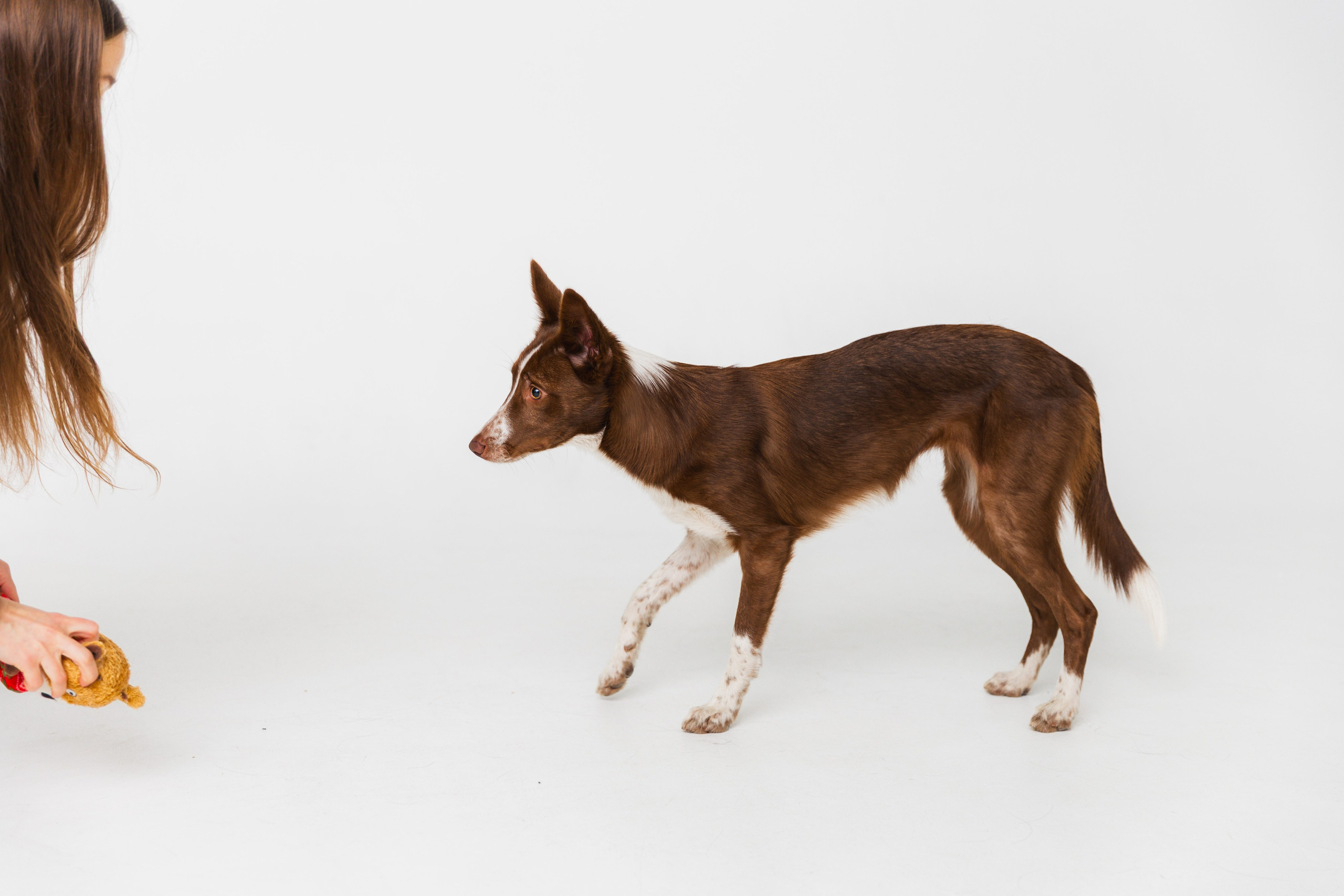 Воркшоп по импульсному свету