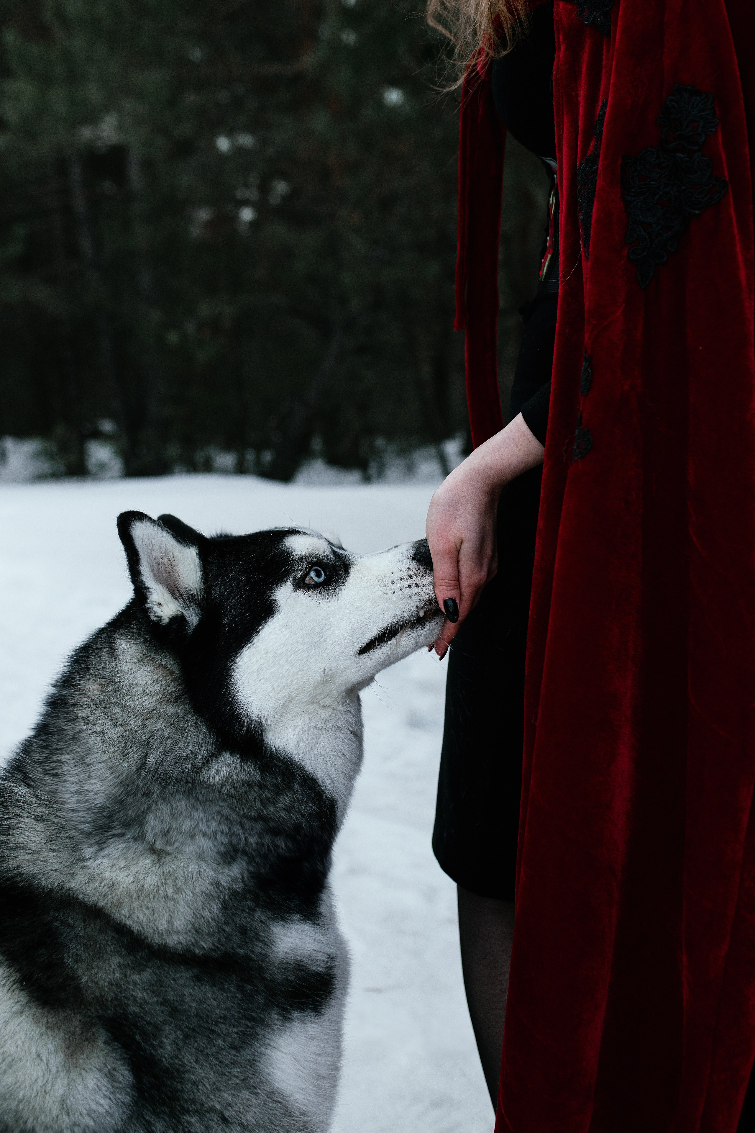 Алина. Свадебный, семейный фотограф в Рязани Лена Брант
