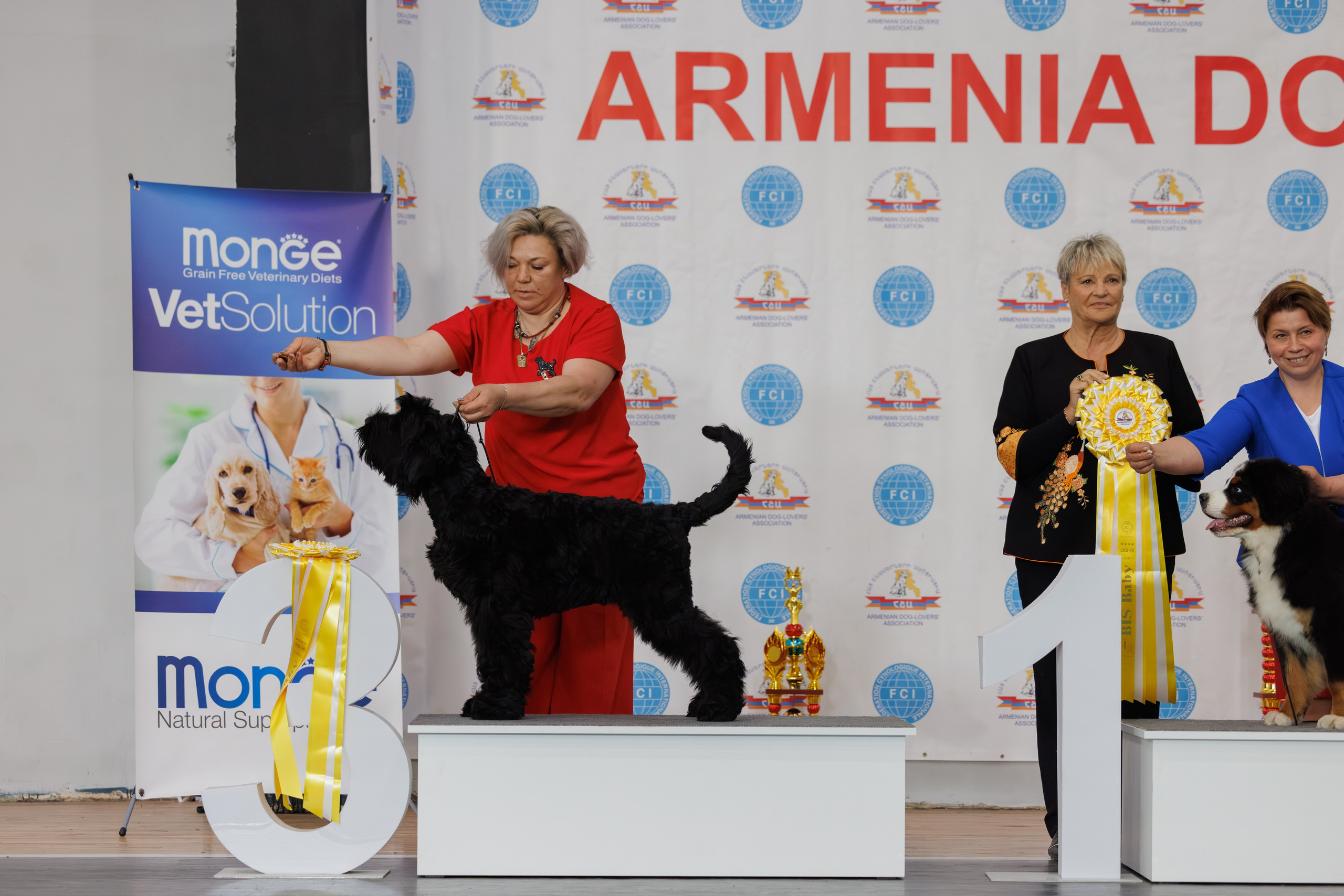 Ереван 2х CACIB 29-30.04.2025. Фотограф-анималист Юлия Германика