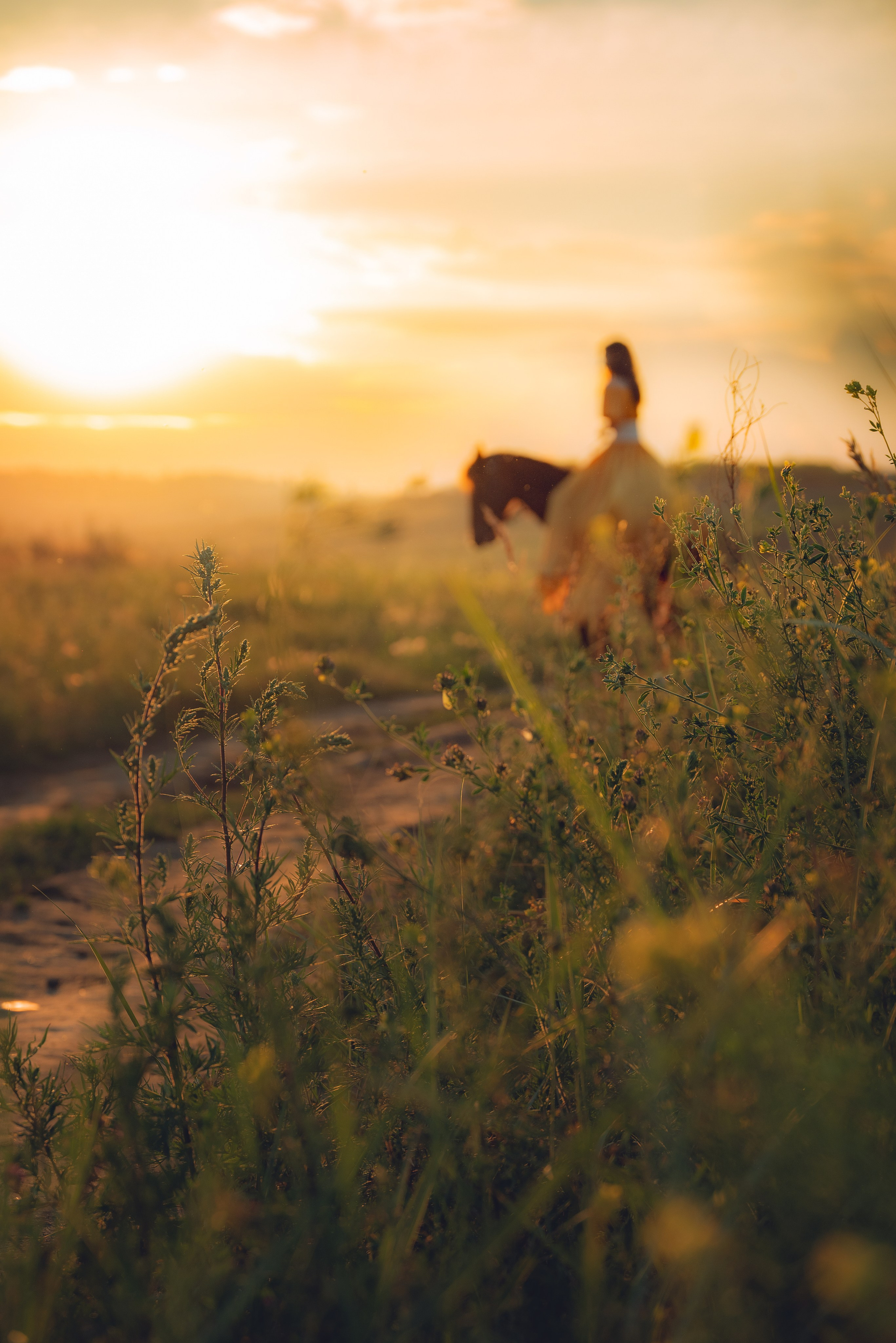 Съемка с лошадью Иркутск Иркутская область. Сайт фотографа Елены Коноваловой Иркутск