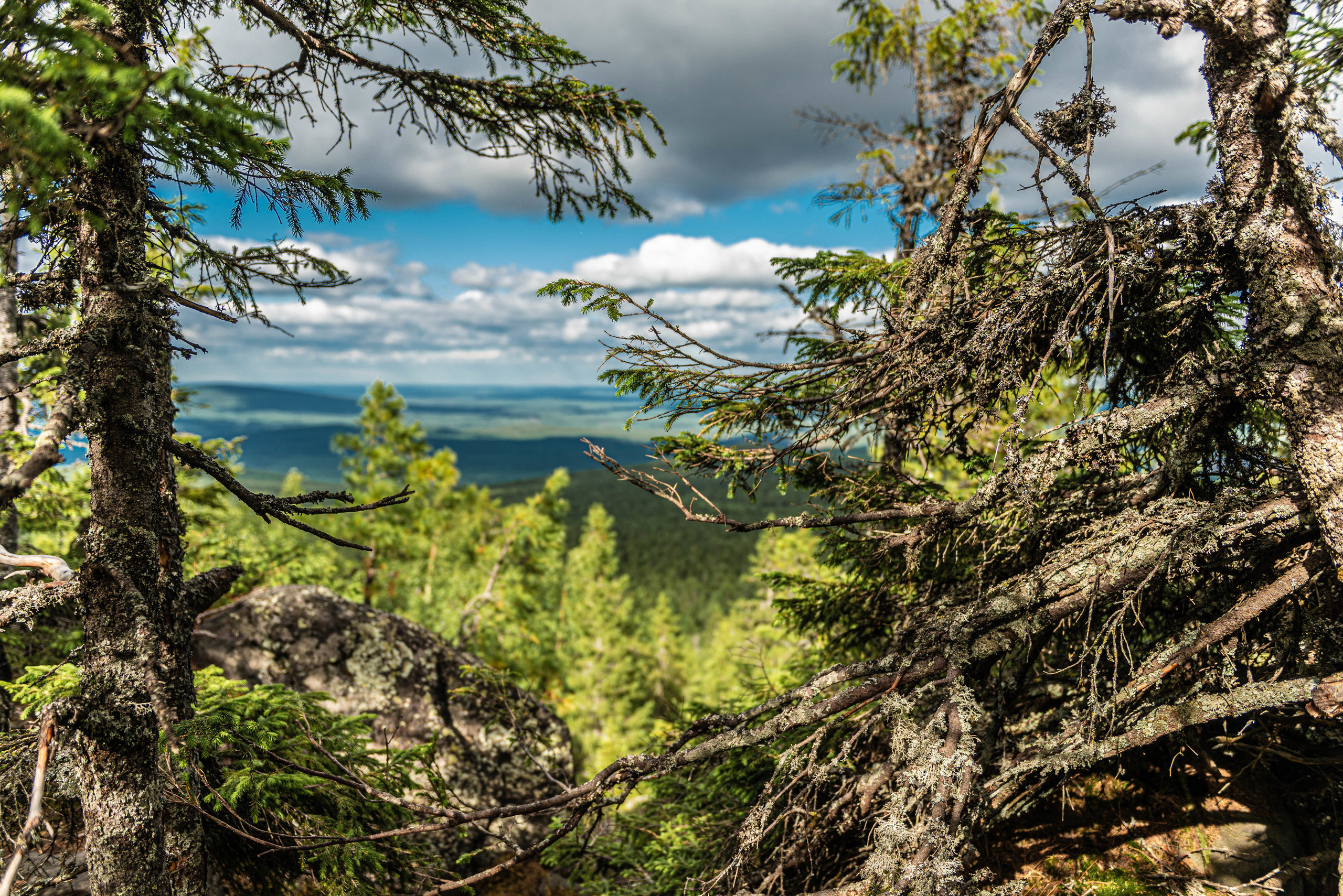 Качканар 13.06.2020. Свадебный фотограф на Урале Виктор Соколов