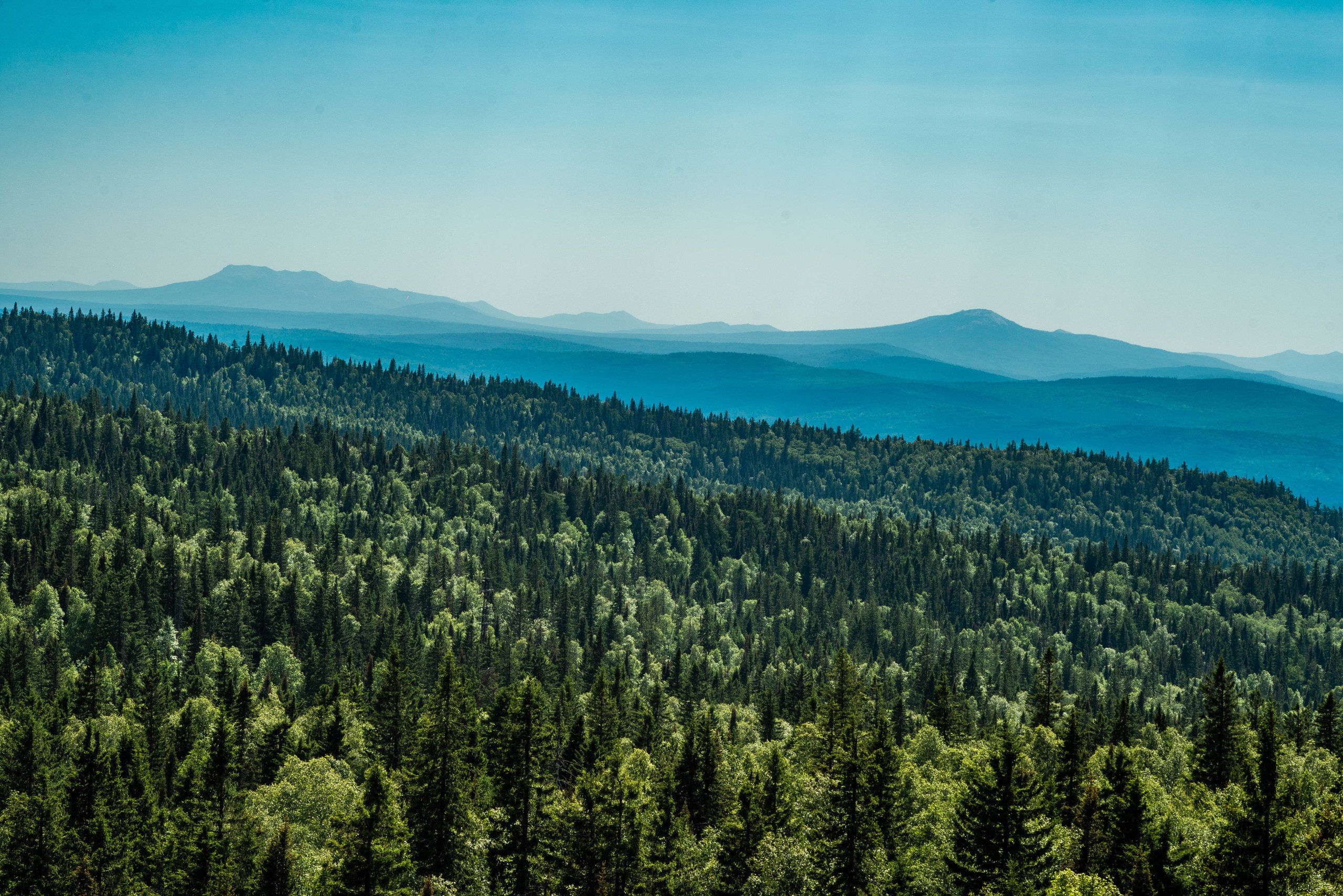 Черная скала и парк Бажова в Златоусте. Свадебный фотограф на Урале Виктор Соколов
