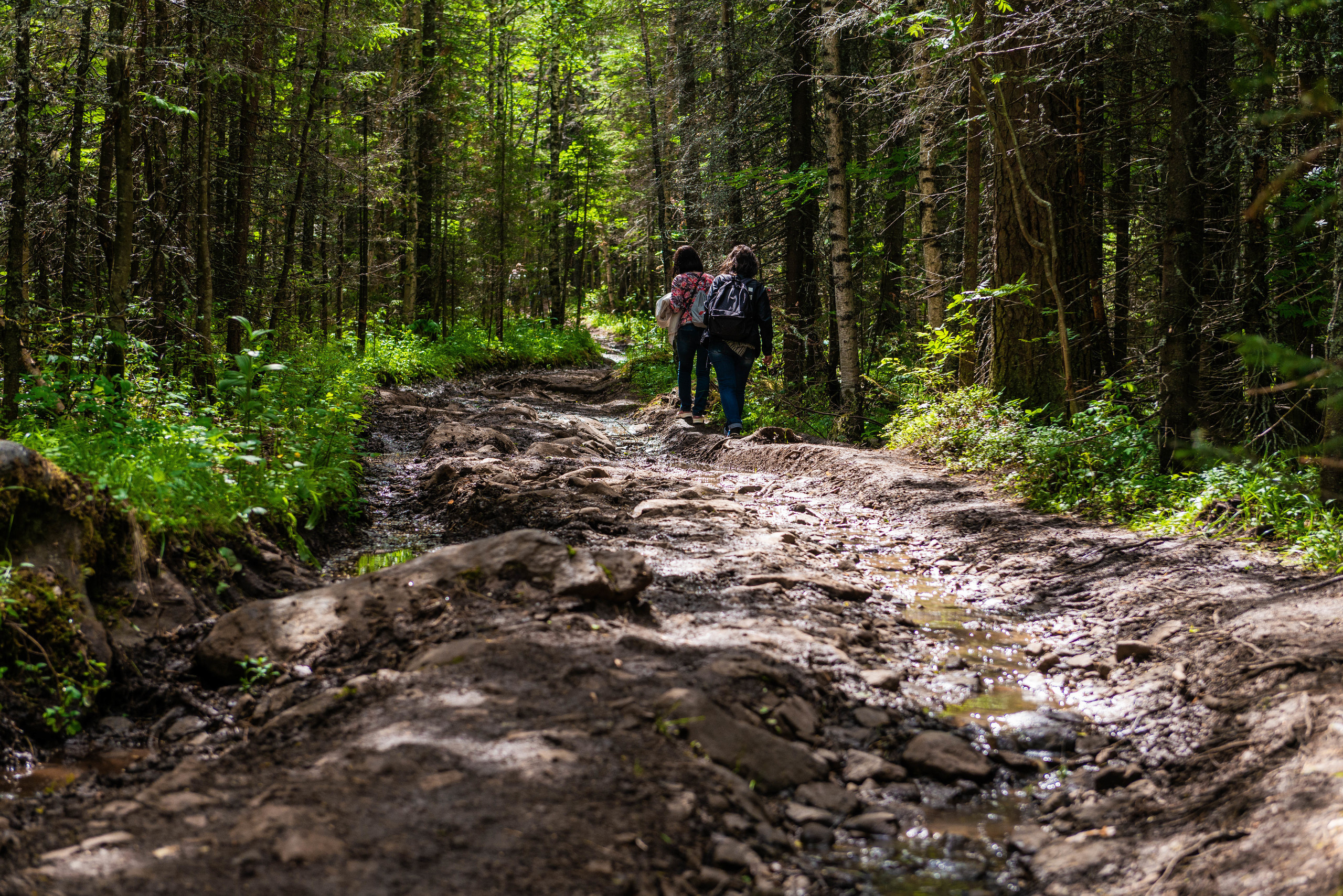 Качканар 13.06.2020. Свадебный фотограф на Урале Виктор Соколов