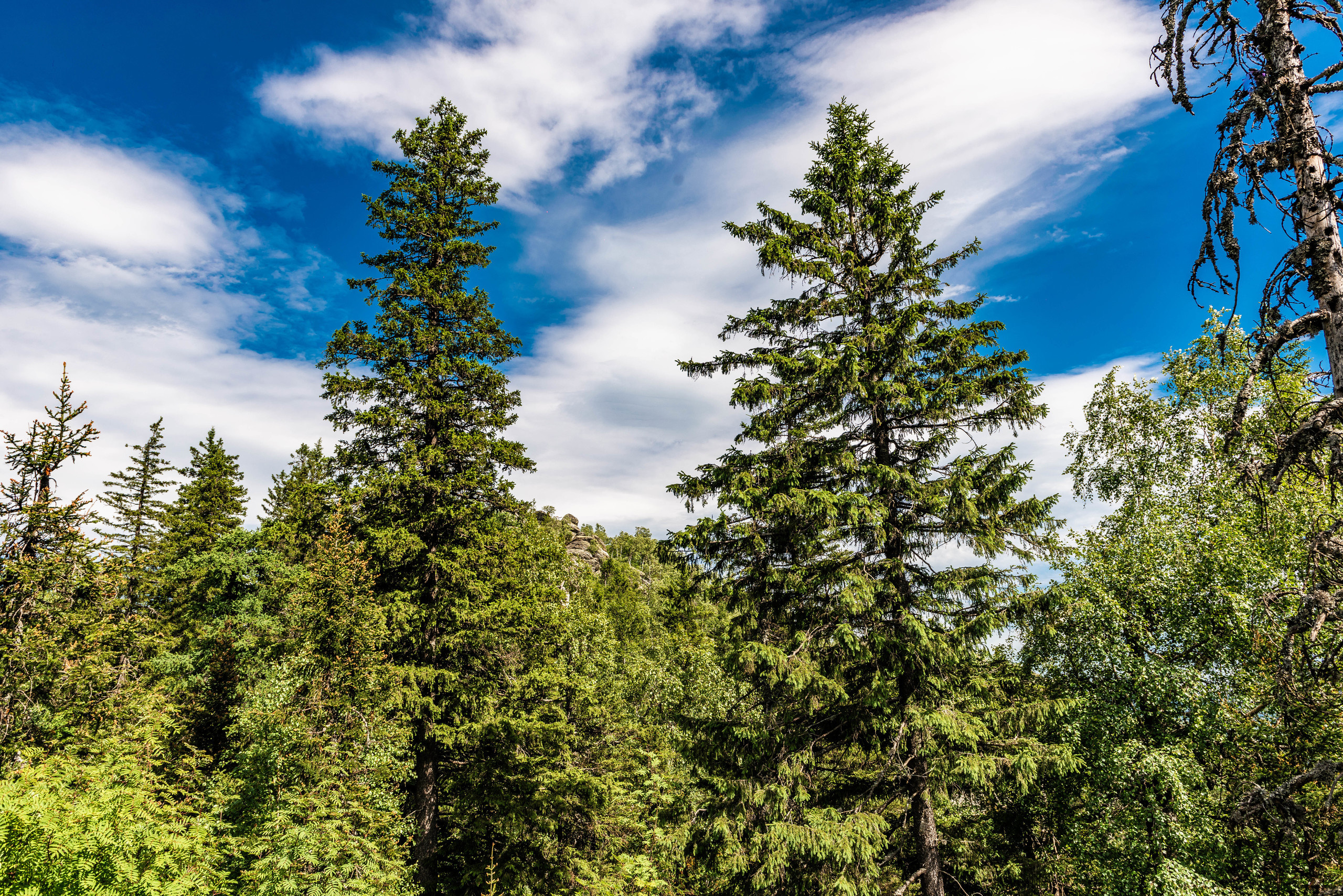 Черная скала и парк Бажова в Златоусте. Свадебный фотограф на Урале Виктор Соколов
