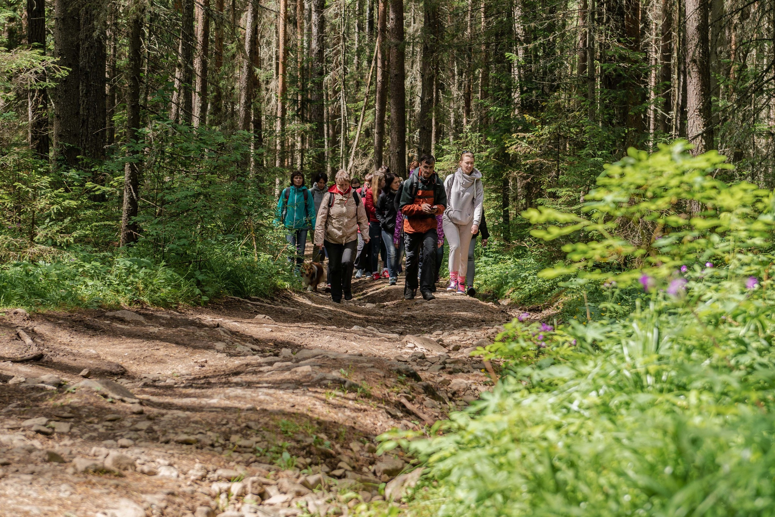Качканар 13.06.2020. Свадебный фотограф на Урале Виктор Соколов
