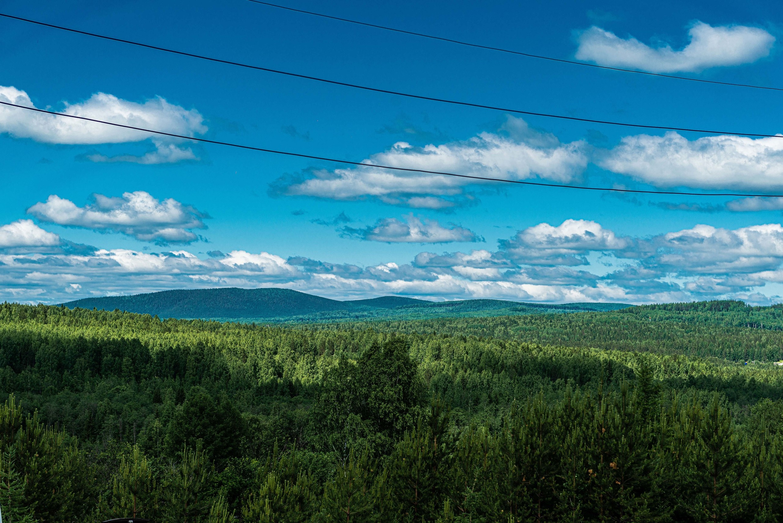 Качканар 13.06.2020. Свадебный фотограф на Урале Виктор Соколов