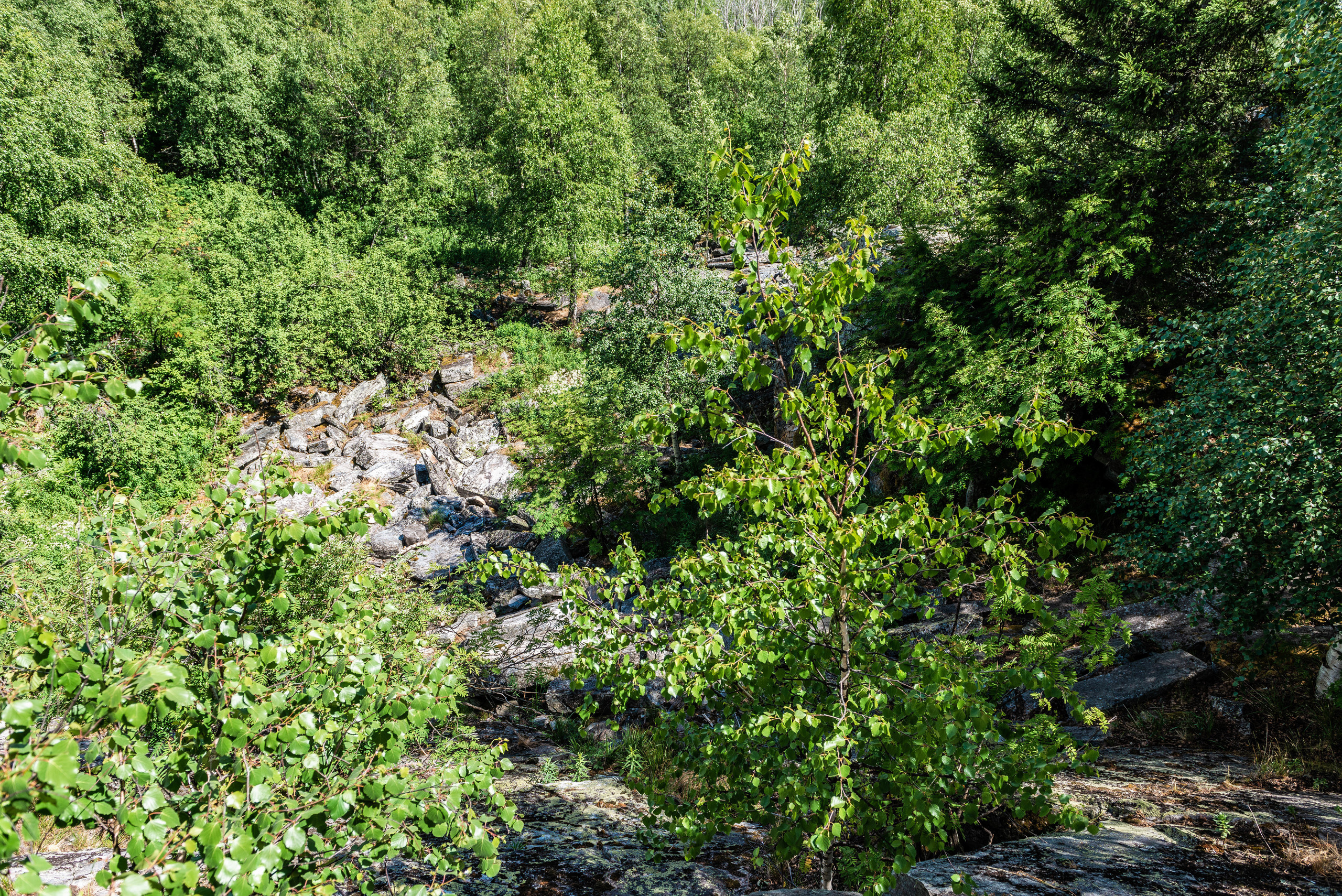 Черная скала и парк Бажова в Златоусте. Свадебный фотограф на Урале Виктор Соколов