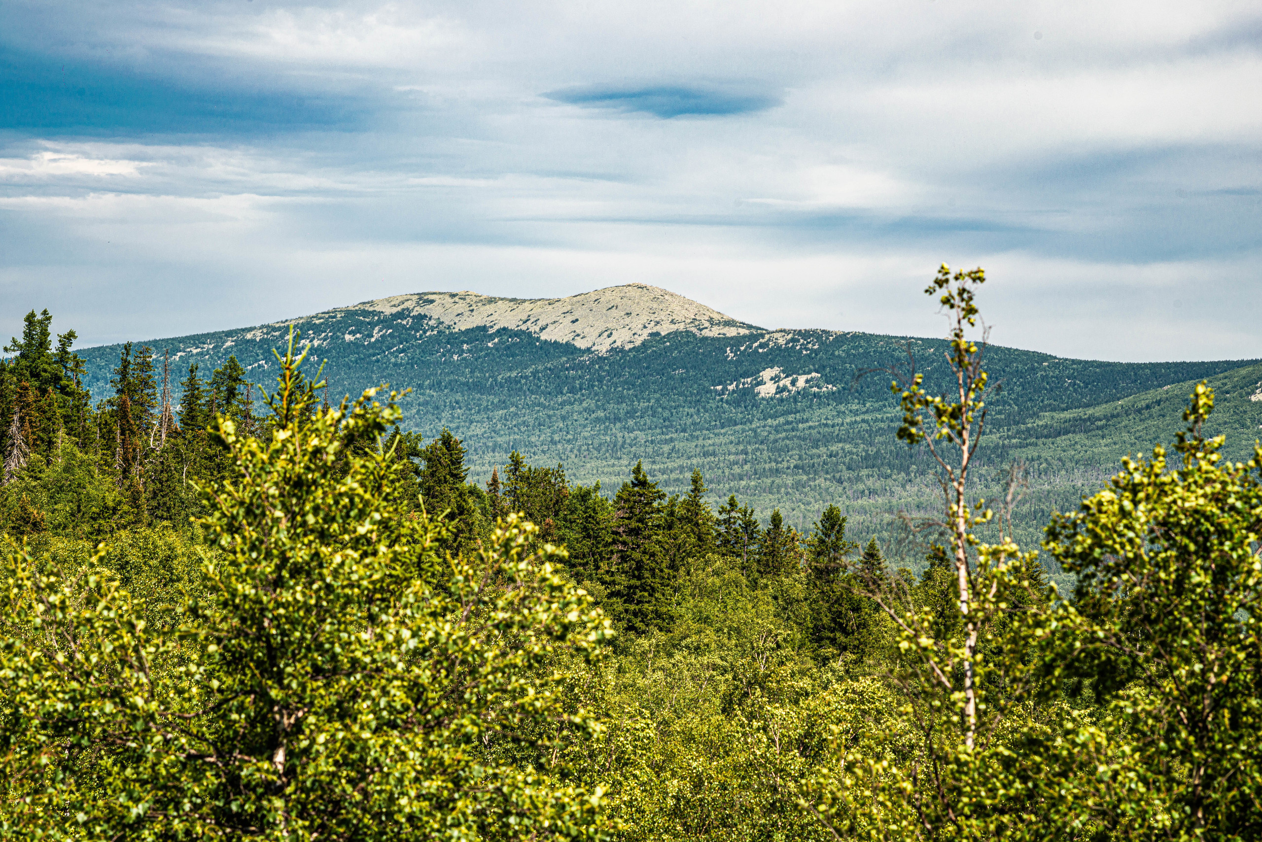 Черная скала и парк Бажова в Златоусте. Свадебный фотограф на Урале Виктор Соколов