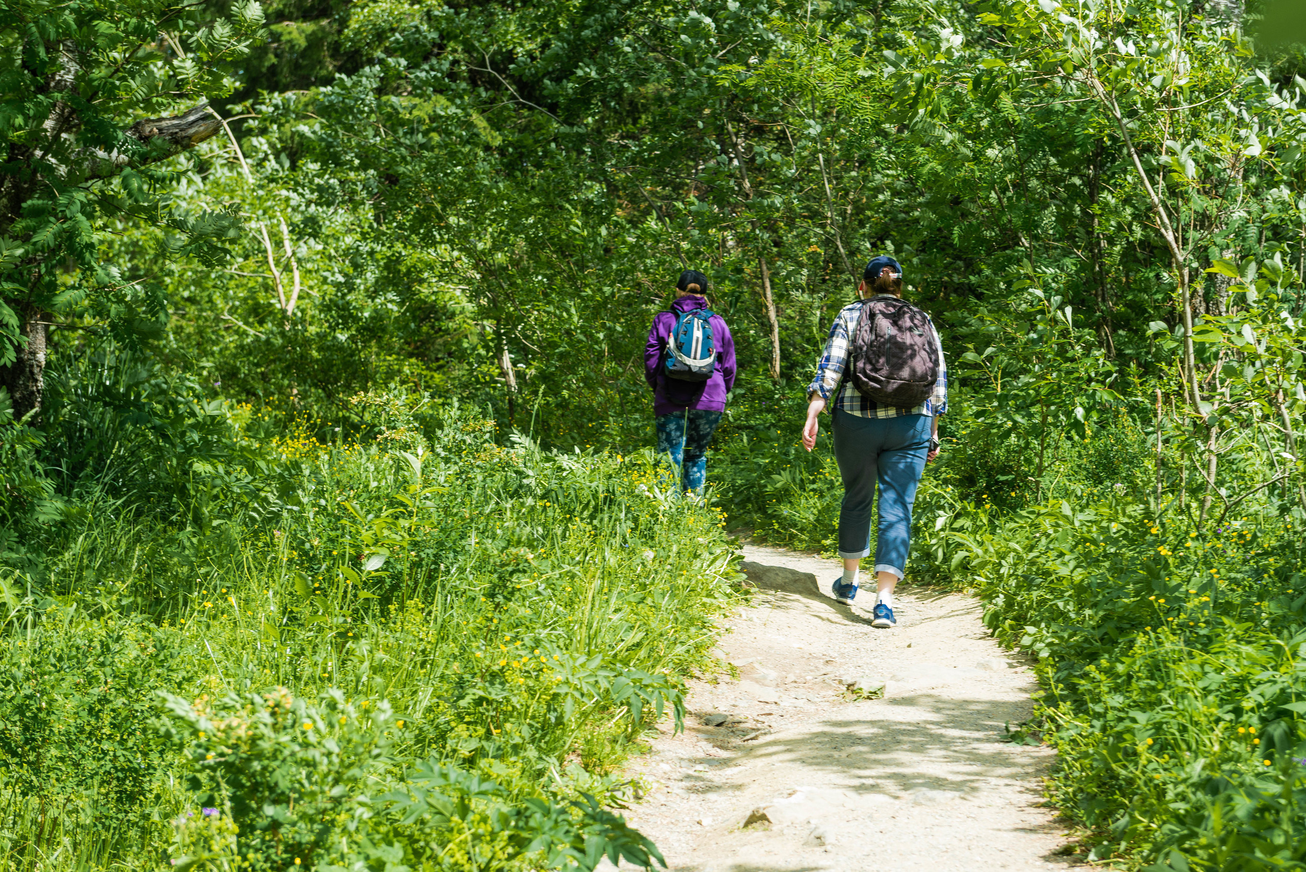 Черная скала и парк Бажова в Златоусте. Свадебный фотограф на Урале Виктор Соколов