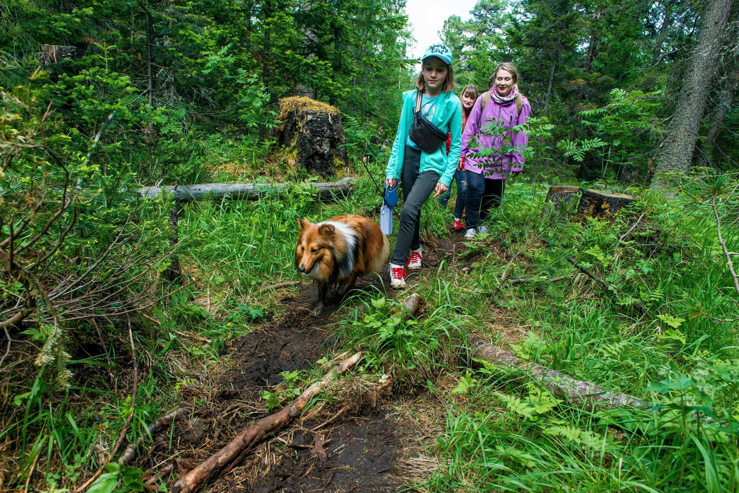Качканар 13.06.2020. Свадебный фотограф на Урале Виктор Соколов