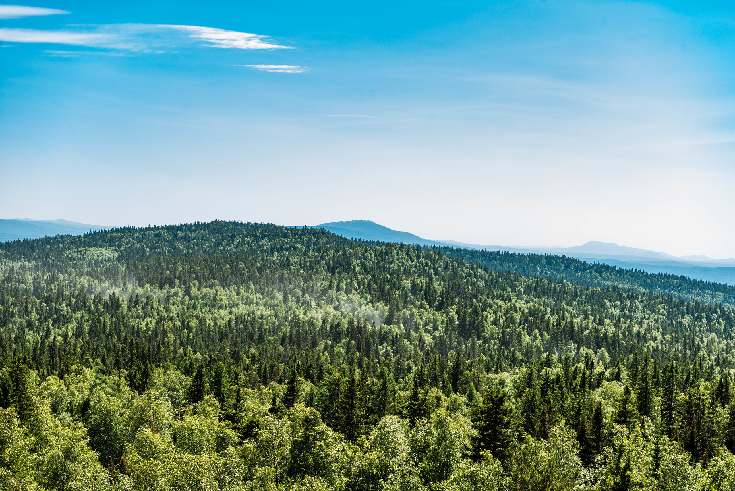 Черная скала и парк Бажова в Златоусте. Свадебный фотограф на Урале Виктор Соколов