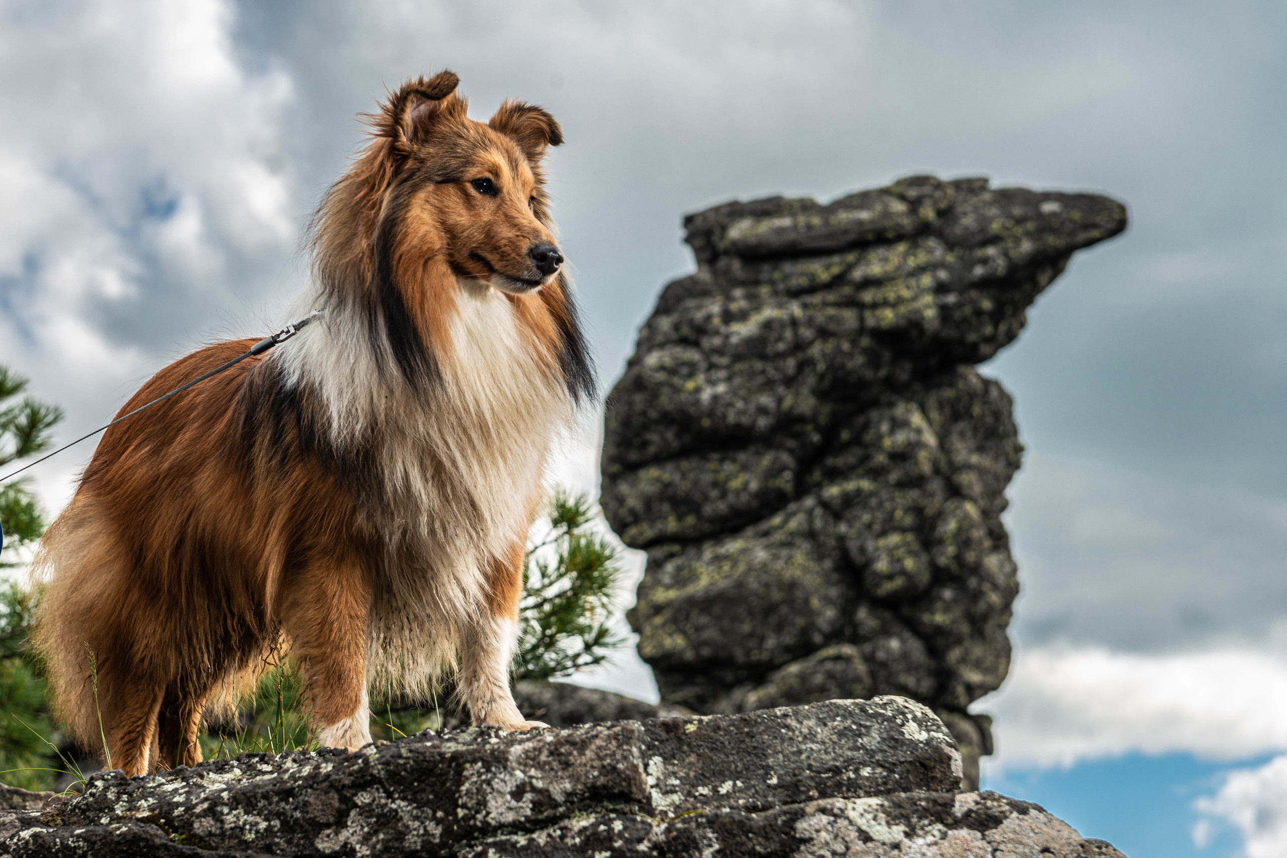 Качканар 13.06.2020. Свадебный фотограф на Урале Виктор Соколов
