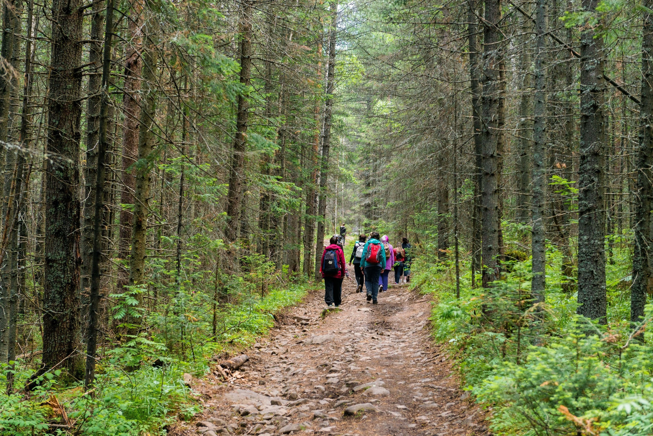 Качканар 13.06.2020. Свадебный фотограф на Урале Виктор Соколов