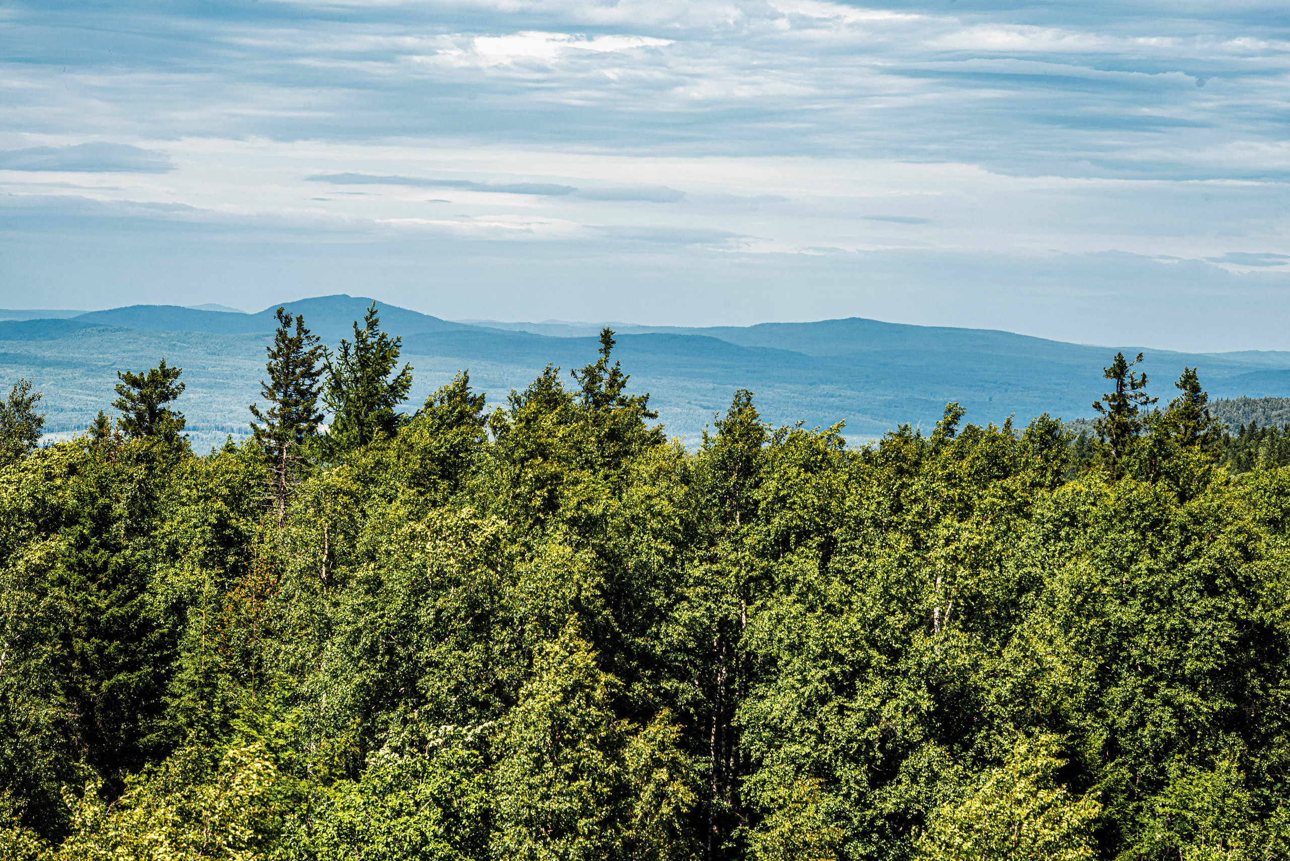 Черная скала и парк Бажова в Златоусте. Свадебный фотограф на Урале Виктор Соколов