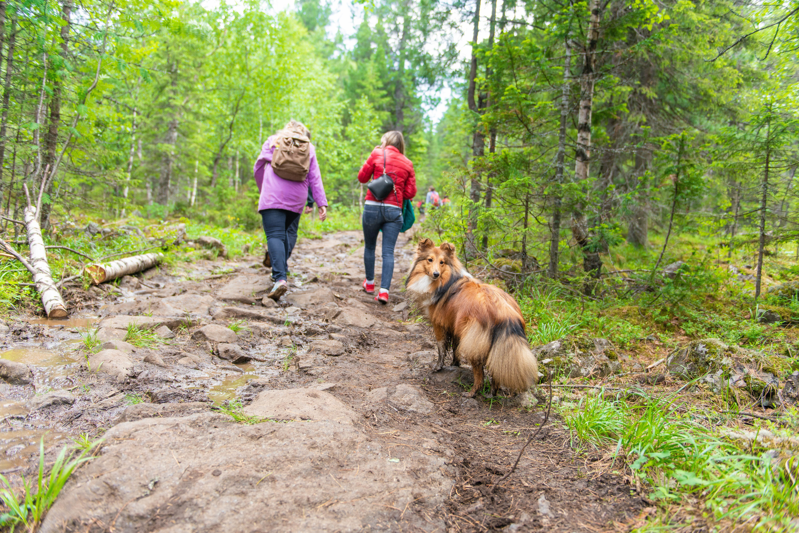 Качканар 13.06.2020. Свадебный фотограф на Урале Виктор Соколов