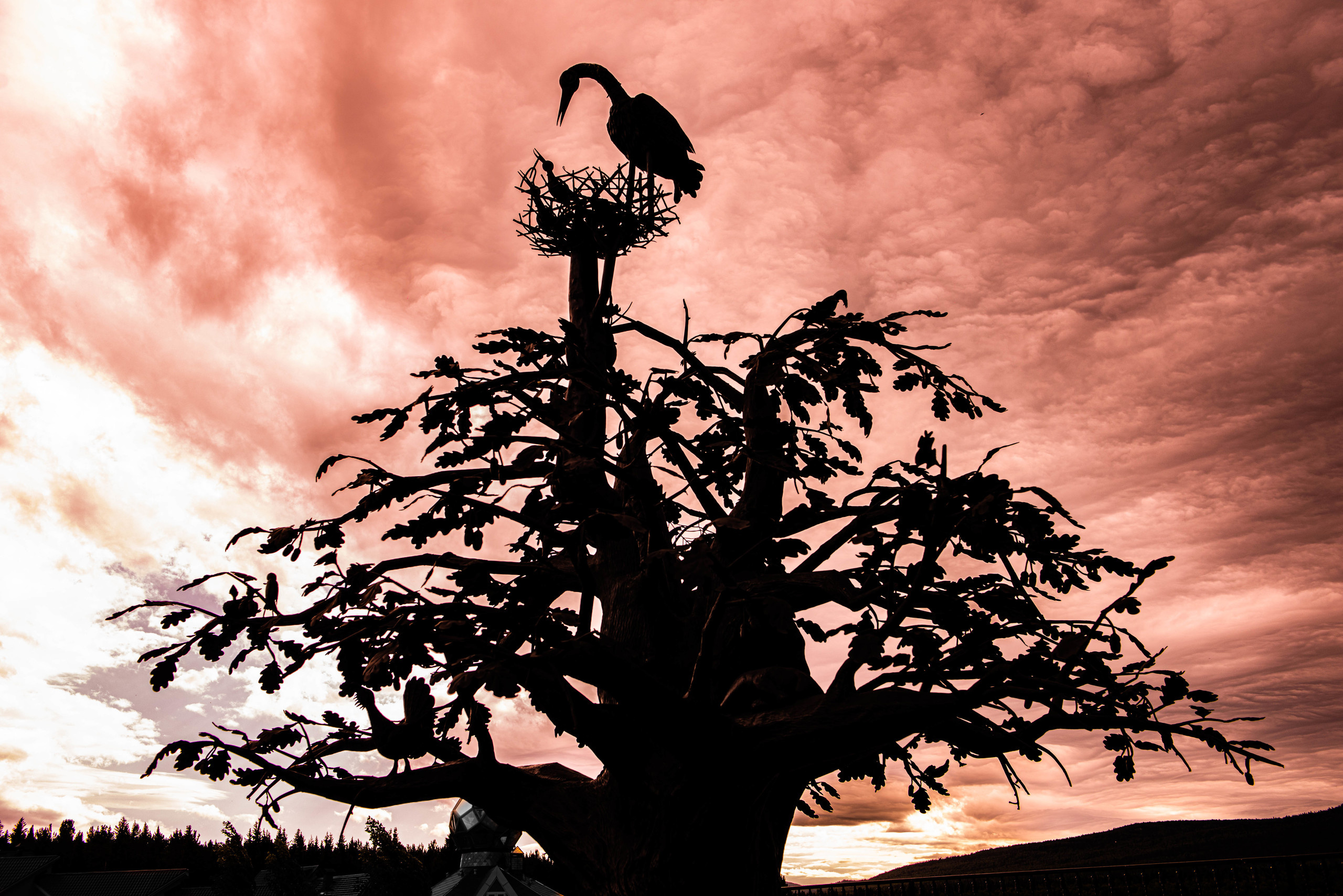 Черная скала и парк Бажова в Златоусте. Свадебный фотограф на Урале Виктор Соколов