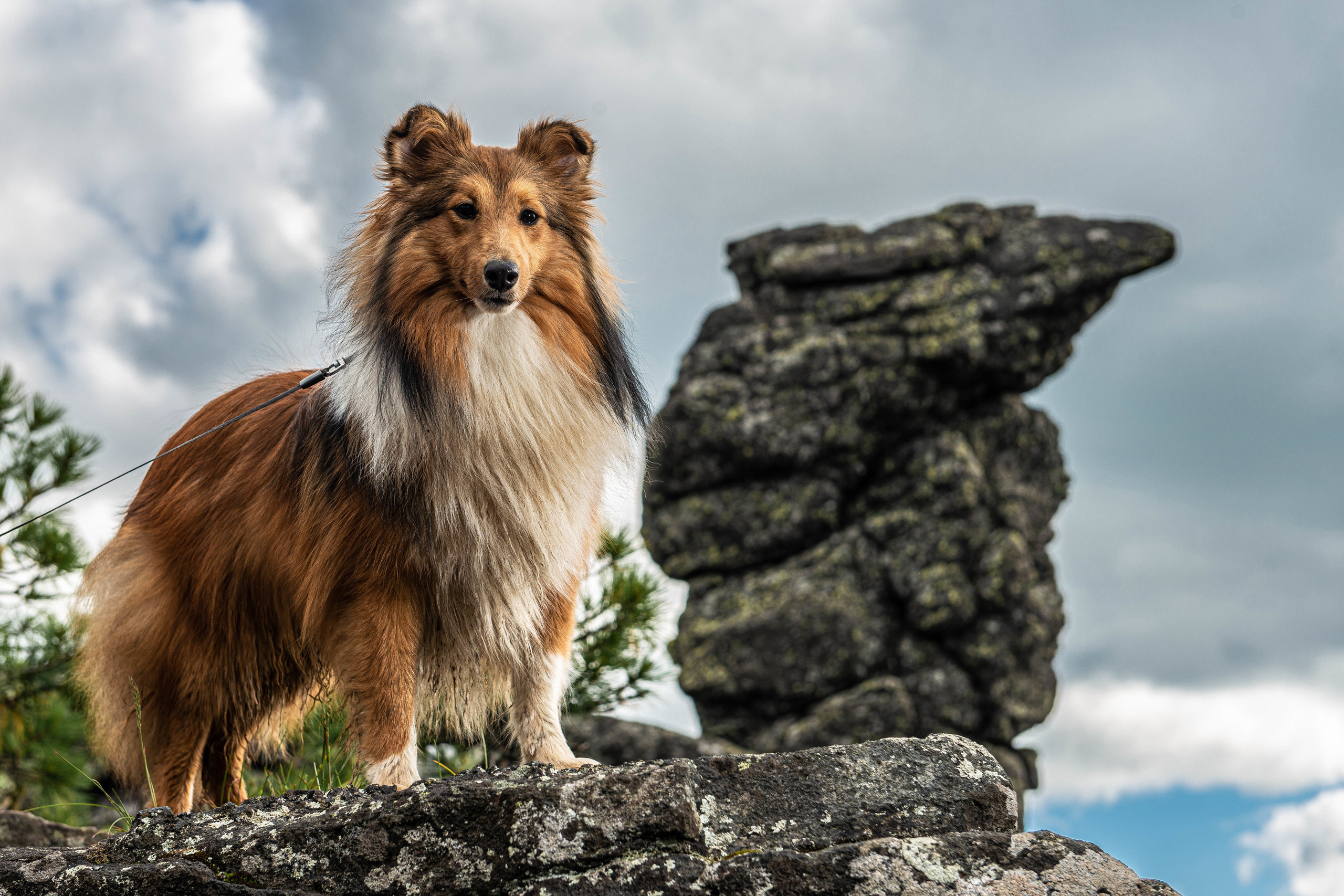 Качканар 13.06.2020. Свадебный фотограф на Урале Виктор Соколов