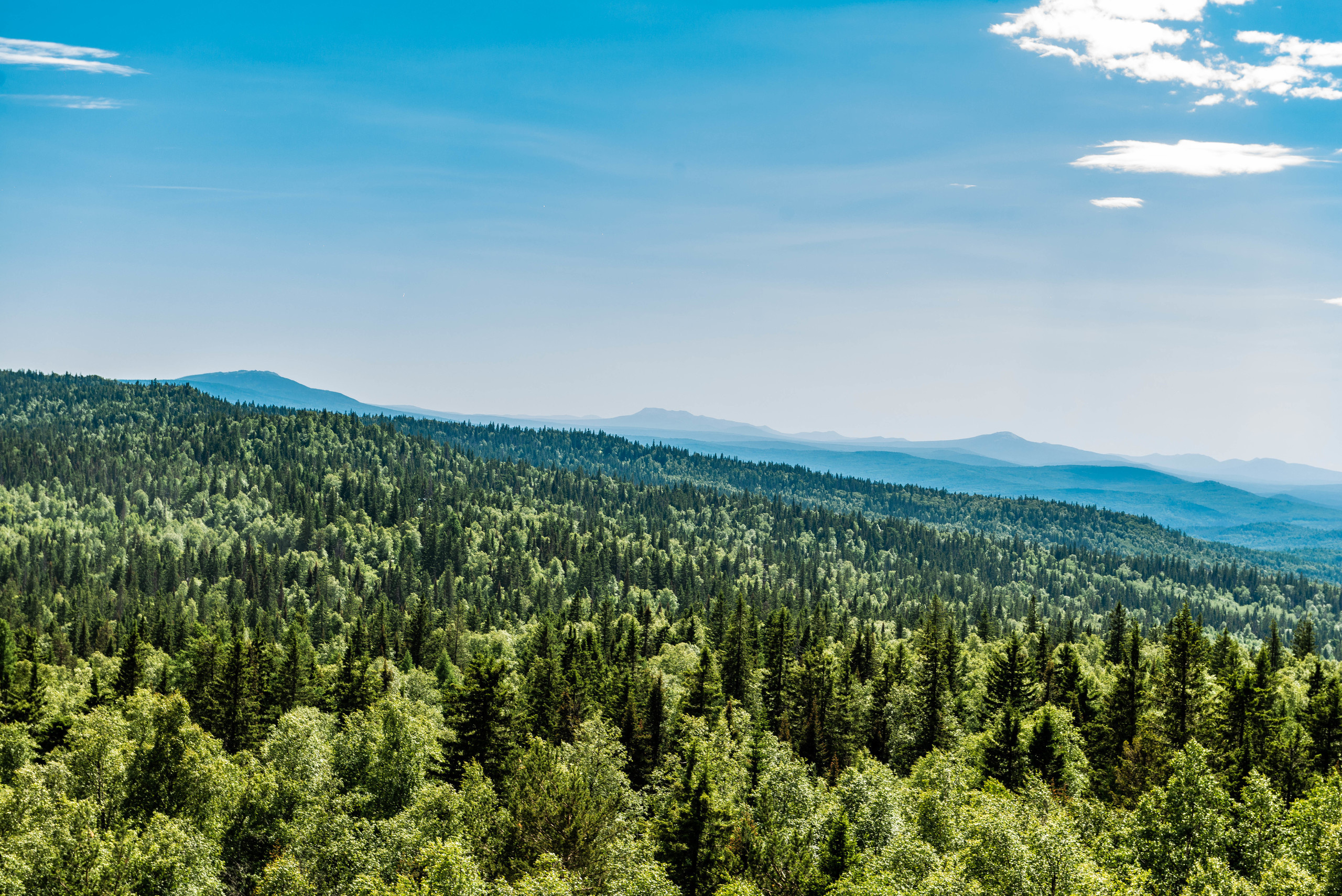 Черная скала и парк Бажова в Златоусте. Свадебный фотограф на Урале Виктор Соколов