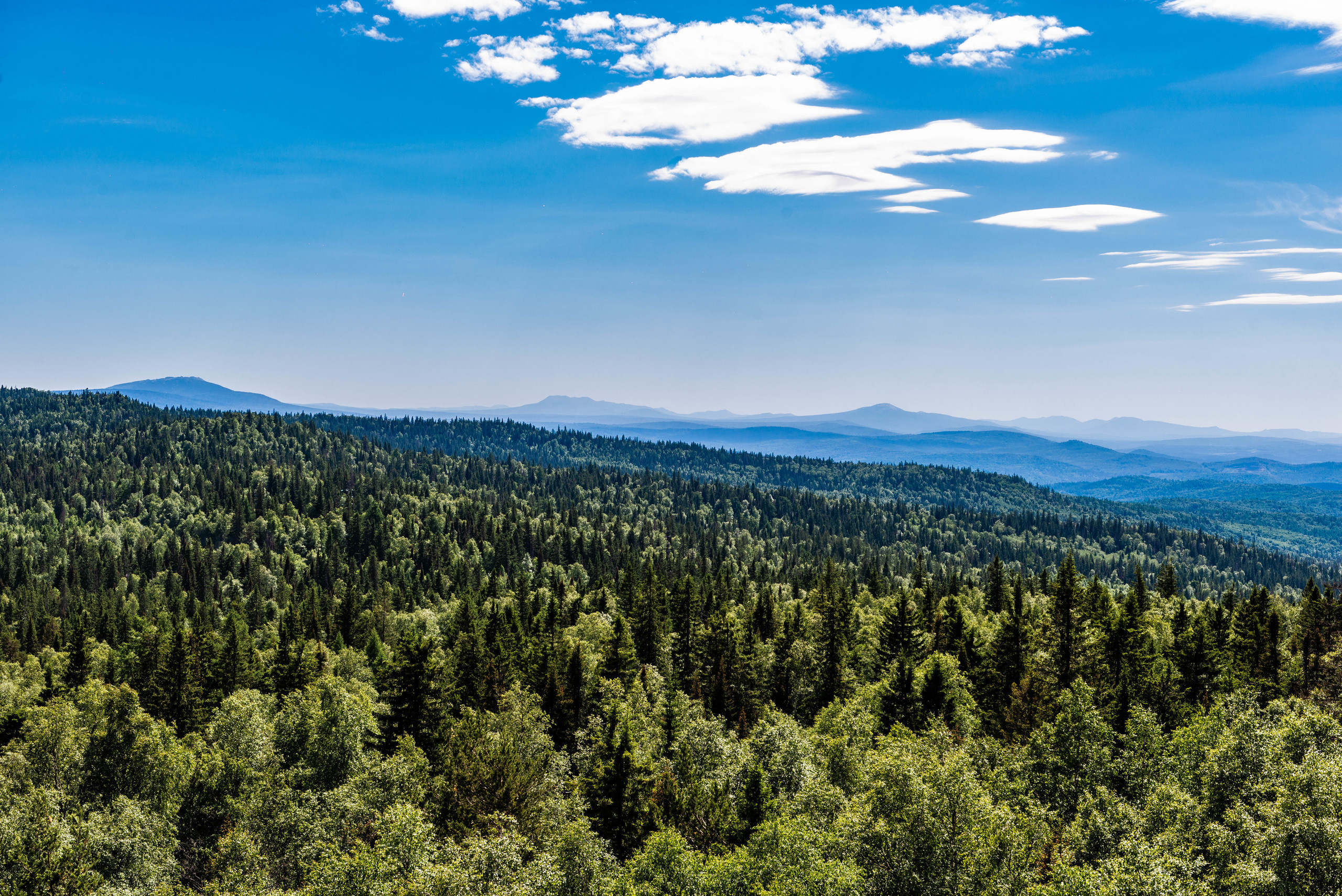 Черная скала и парк Бажова в Златоусте. Свадебный фотограф на Урале Виктор Соколов