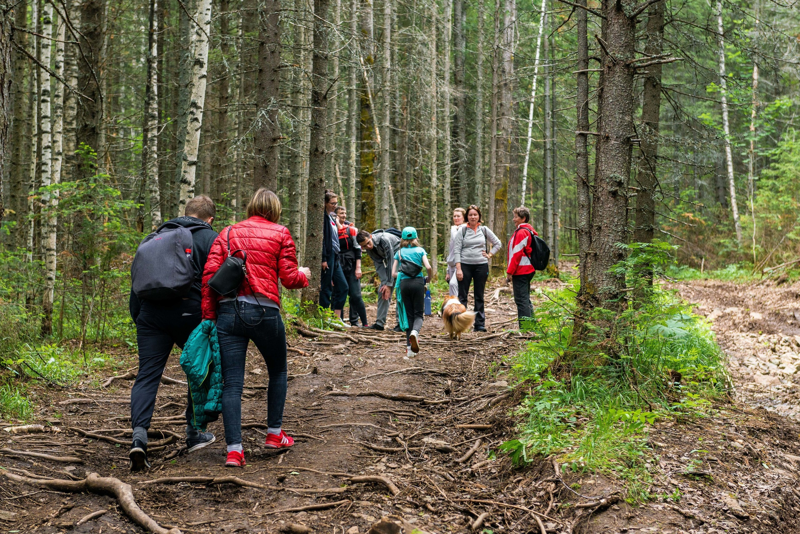 Качканар 13.06.2020. Свадебный фотограф на Урале Виктор Соколов