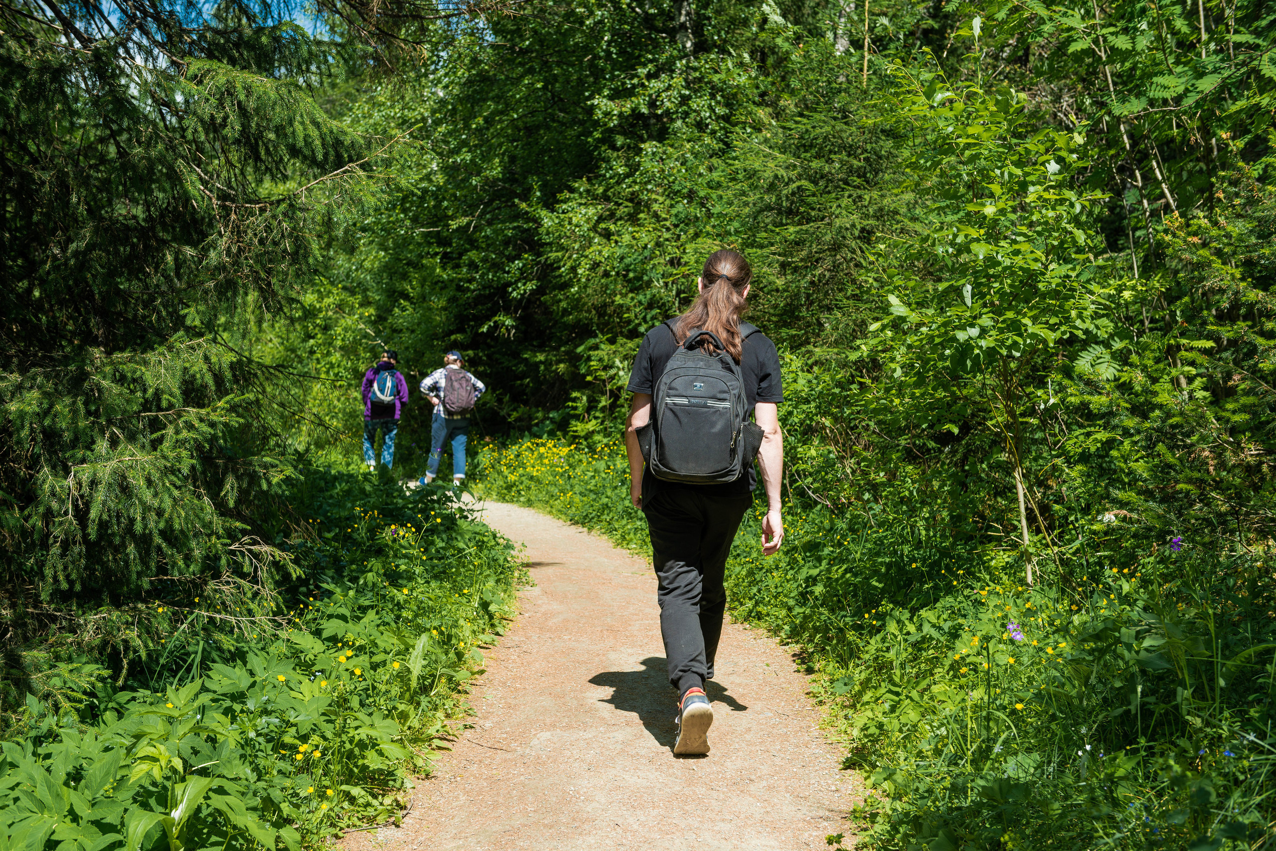 Черная скала и парк Бажова в Златоусте. Свадебный фотограф на Урале Виктор Соколов