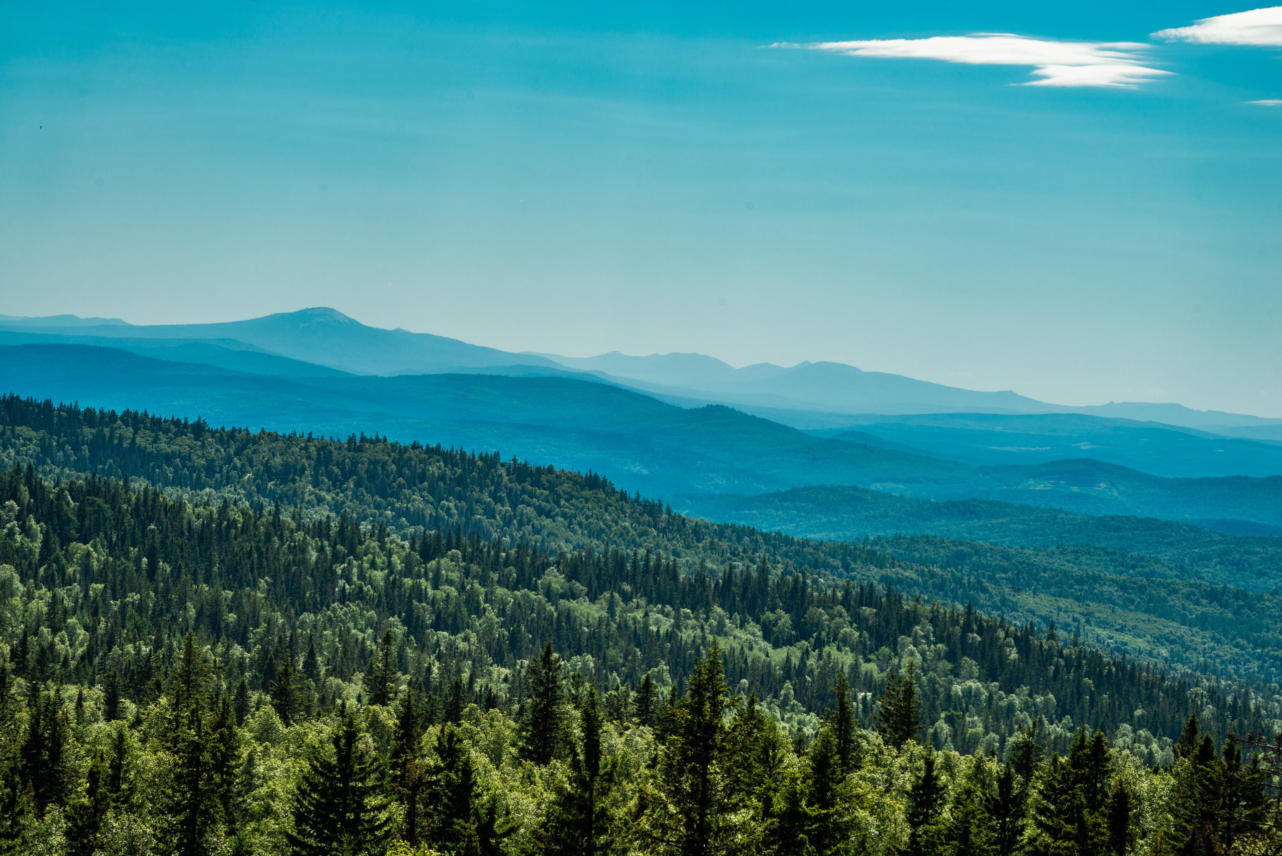 Черная скала и парк Бажова в Златоусте. Свадебный фотограф на Урале Виктор Соколов