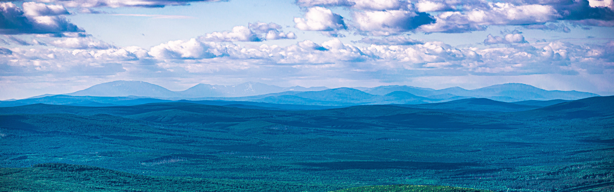 Качканар 13.06.2020. Свадебный фотограф на Урале Виктор Соколов