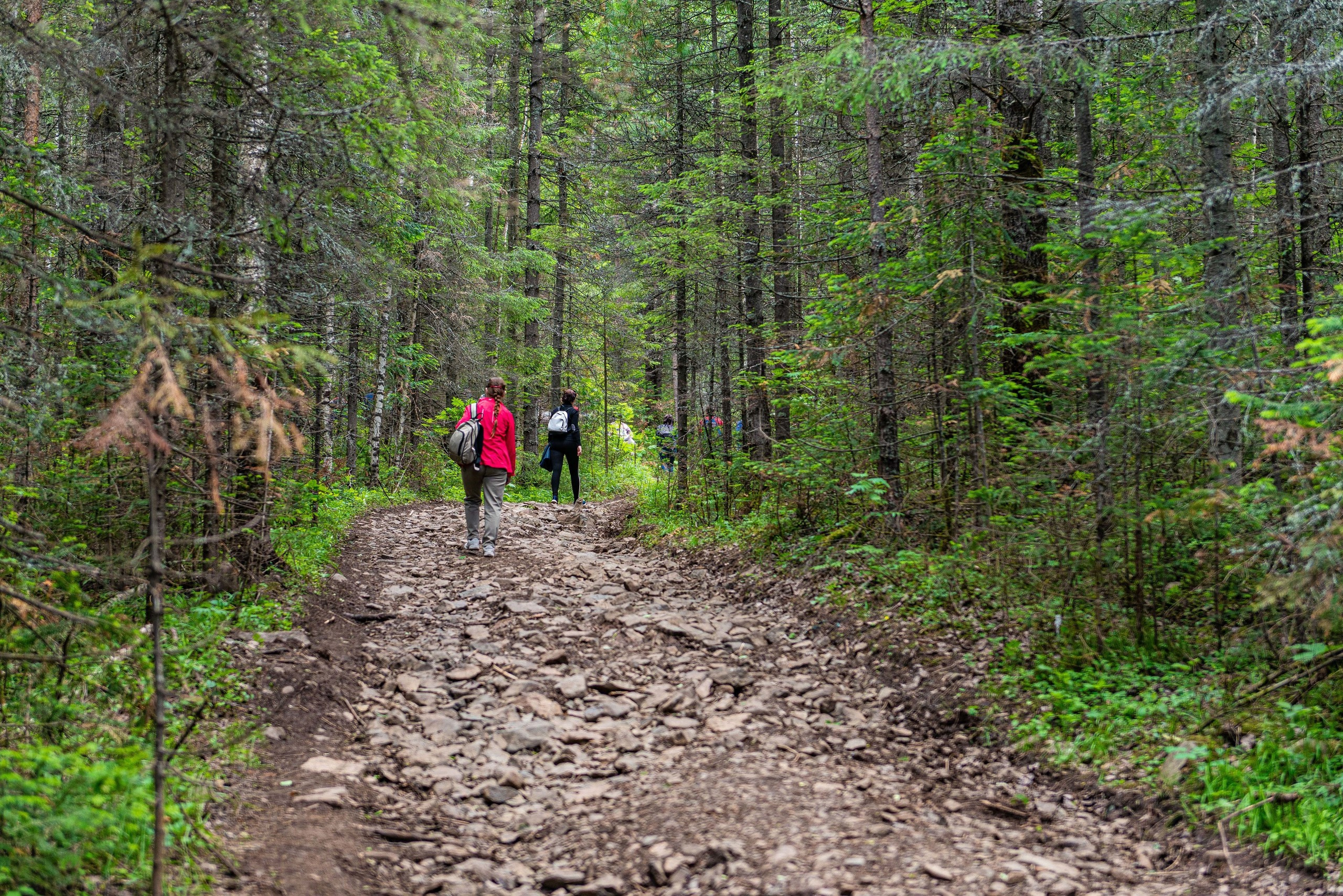 Качканар 13.06.2020. Свадебный фотограф на Урале Виктор Соколов