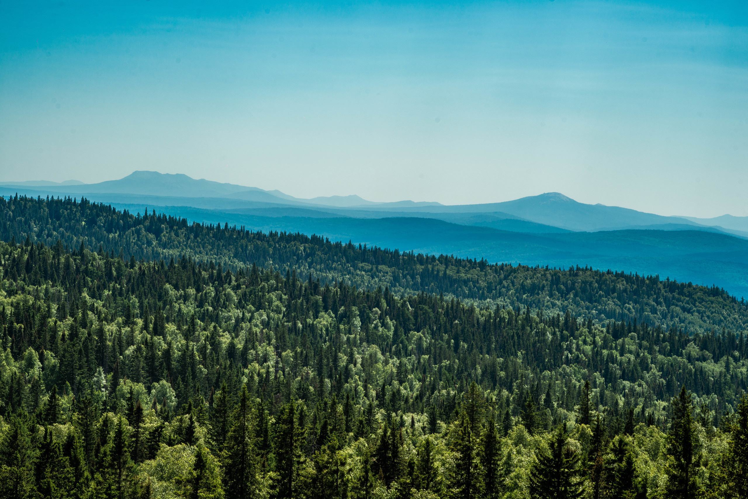 Черная скала и парк Бажова в Златоусте. Свадебный фотограф на Урале Виктор Соколов