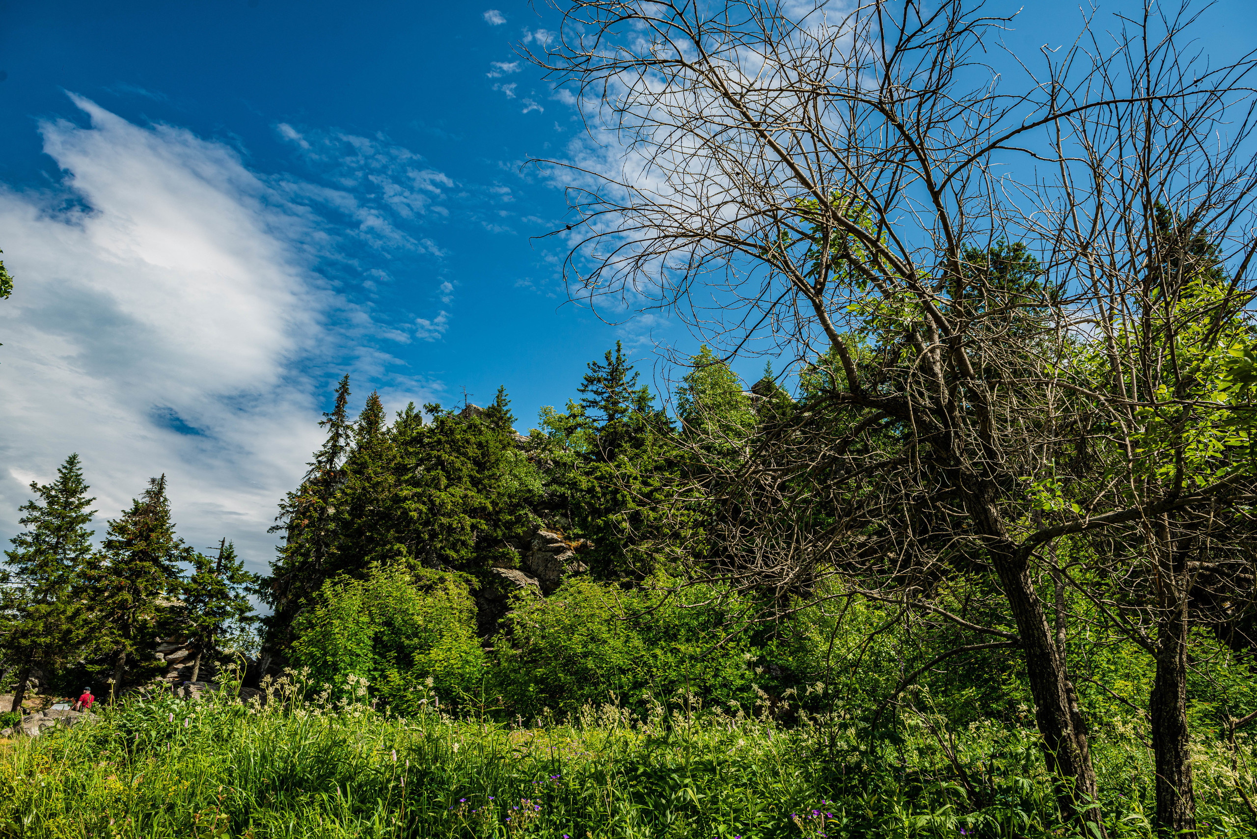 Черная скала и парк Бажова в Златоусте. Свадебный фотограф на Урале Виктор Соколов