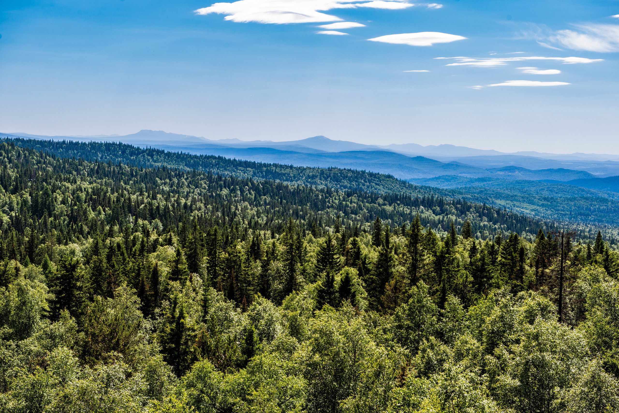 Черная скала и парк Бажова в Златоусте. Свадебный фотограф на Урале Виктор Соколов
