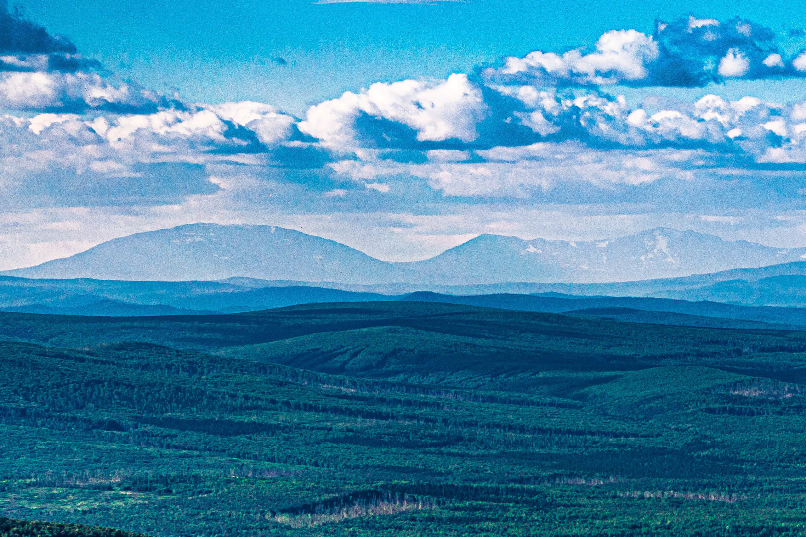 Качканар 13.06.2020. Свадебный фотограф на Урале Виктор Соколов