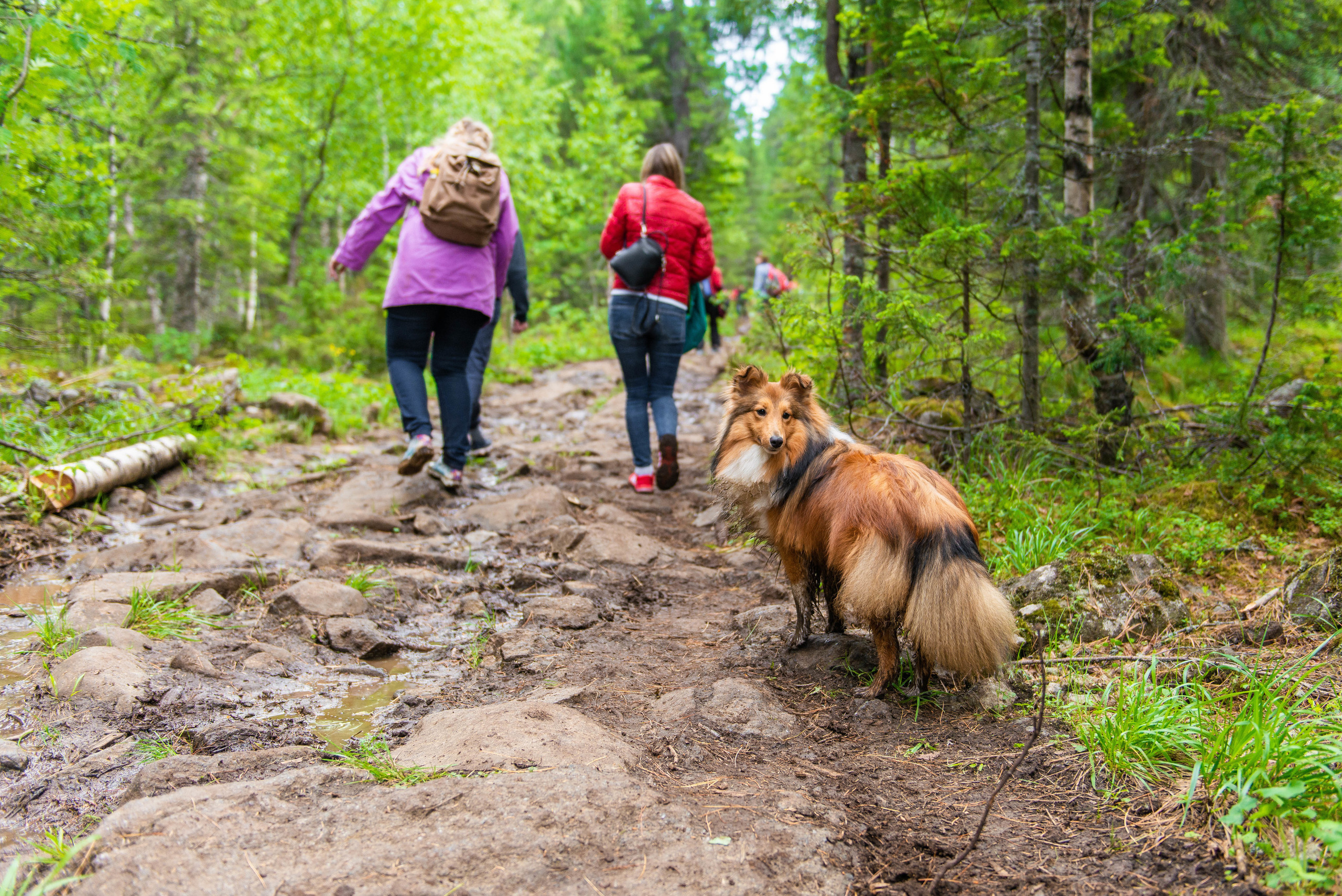 Качканар 13.06.2020. Свадебный фотограф на Урале Виктор Соколов