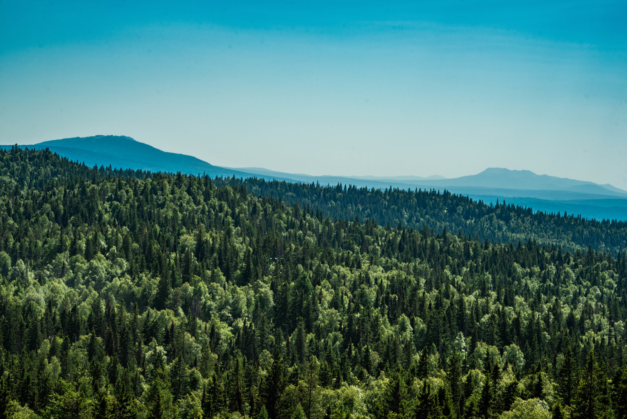 Черная скала и парк Бажова в Златоусте. Свадебный фотограф на Урале Виктор Соколов