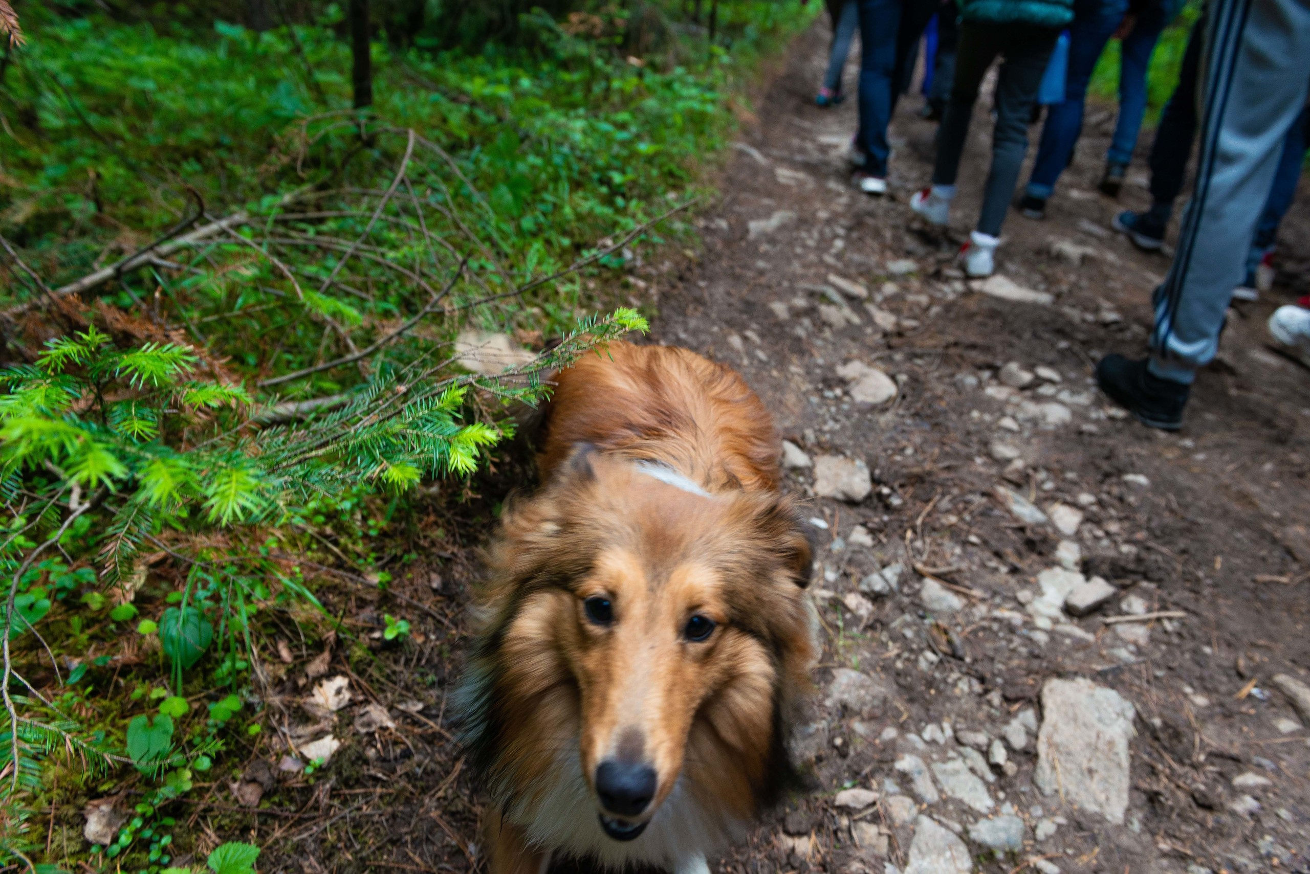 Качканар 13.06.2020. Свадебный фотограф на Урале Виктор Соколов
