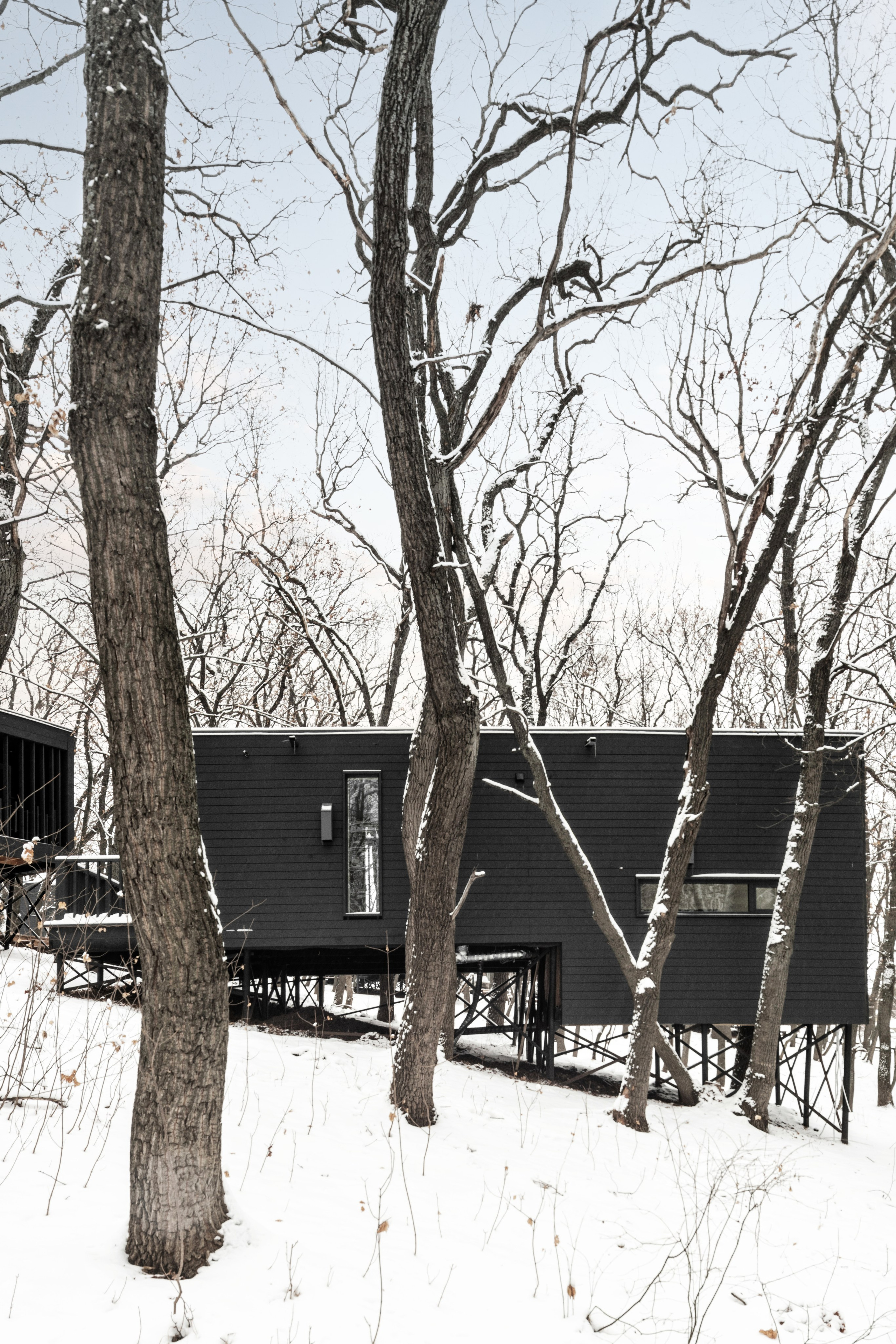 ХОЛМ. SAAS Селиванов Алексей Архитектурная Студия