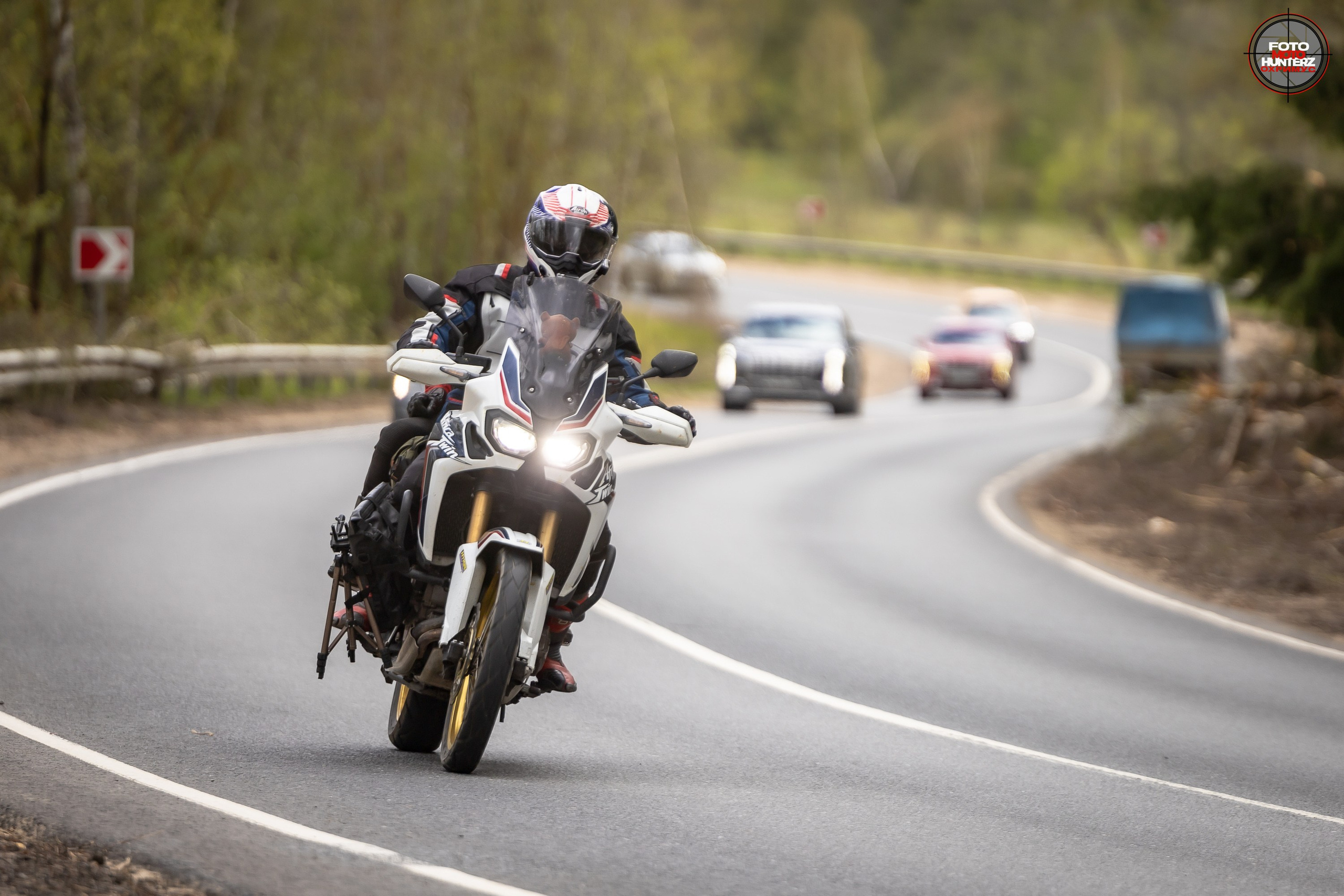 Первое Сафари в 2025 г. на Рогачевском ш. Фотограф Владимир Охрименко