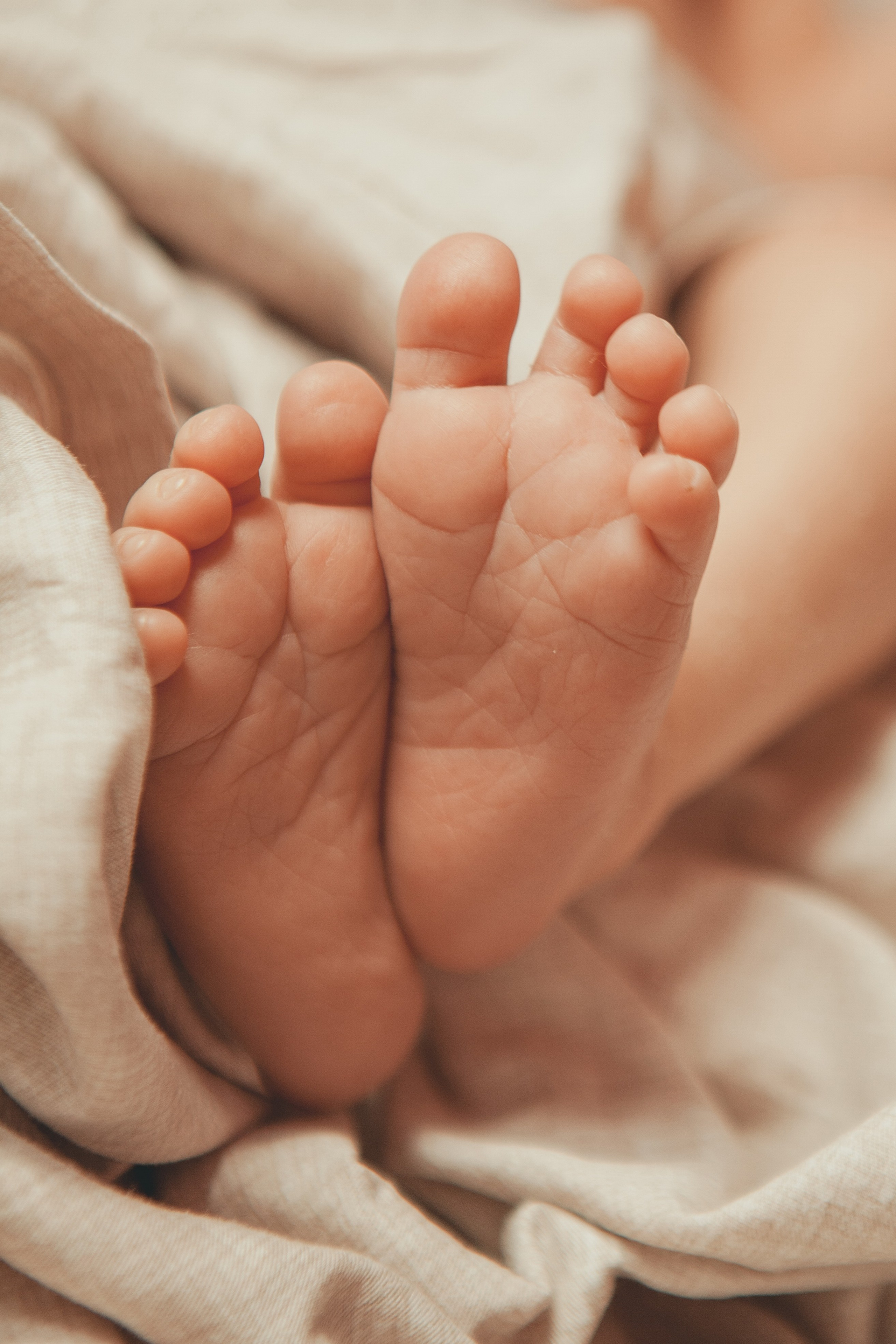 Гордей. Фотограф Ольга Ефремова