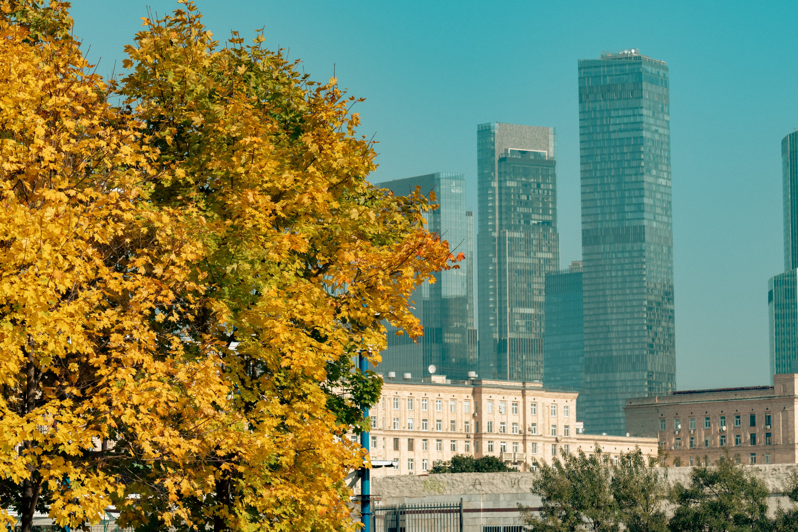 20211003 Поклонка. Дмитрий Ремизов. Фотография, как хобби