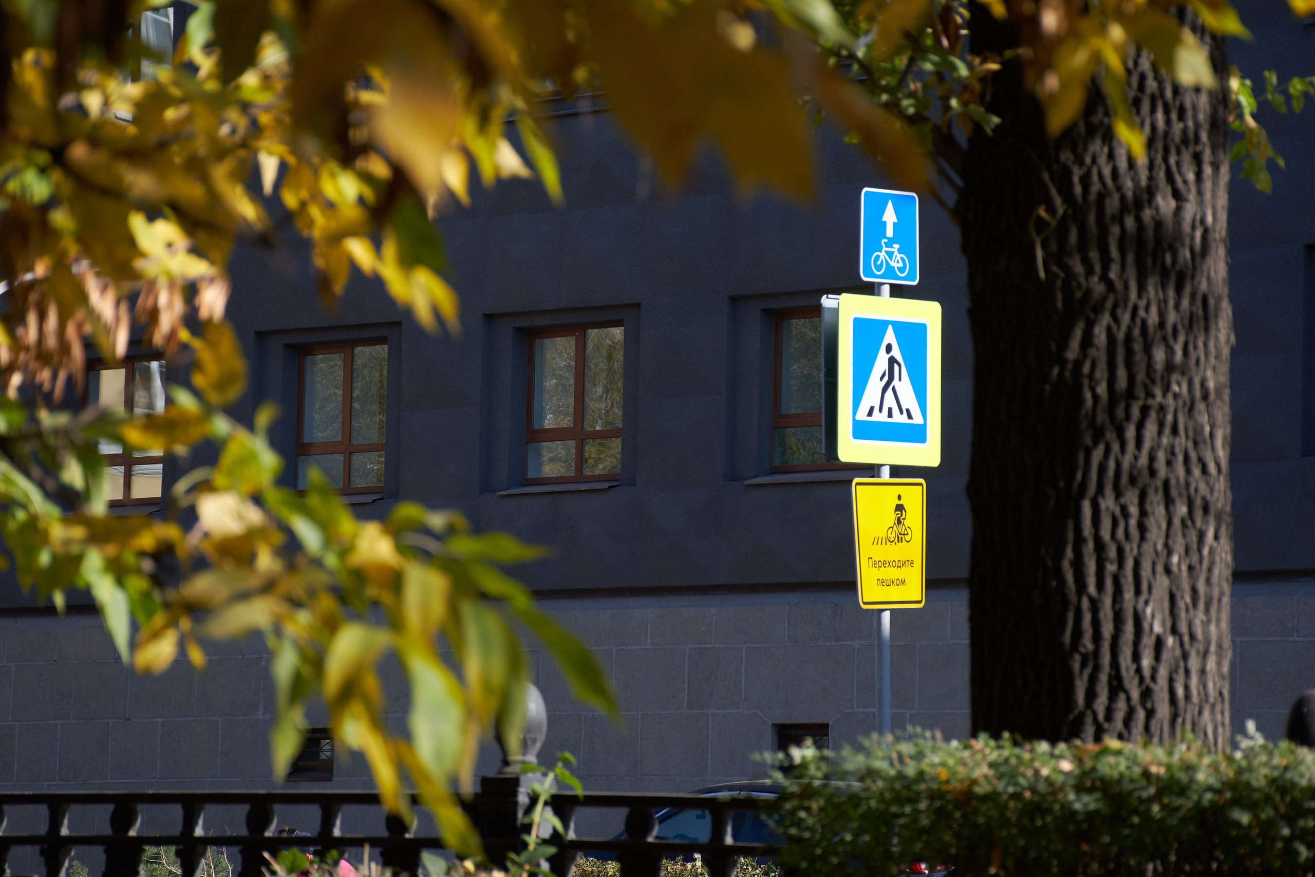 20201004 Бульварное кольцо. Дмитрий Ремизов. Фотография, как хобби