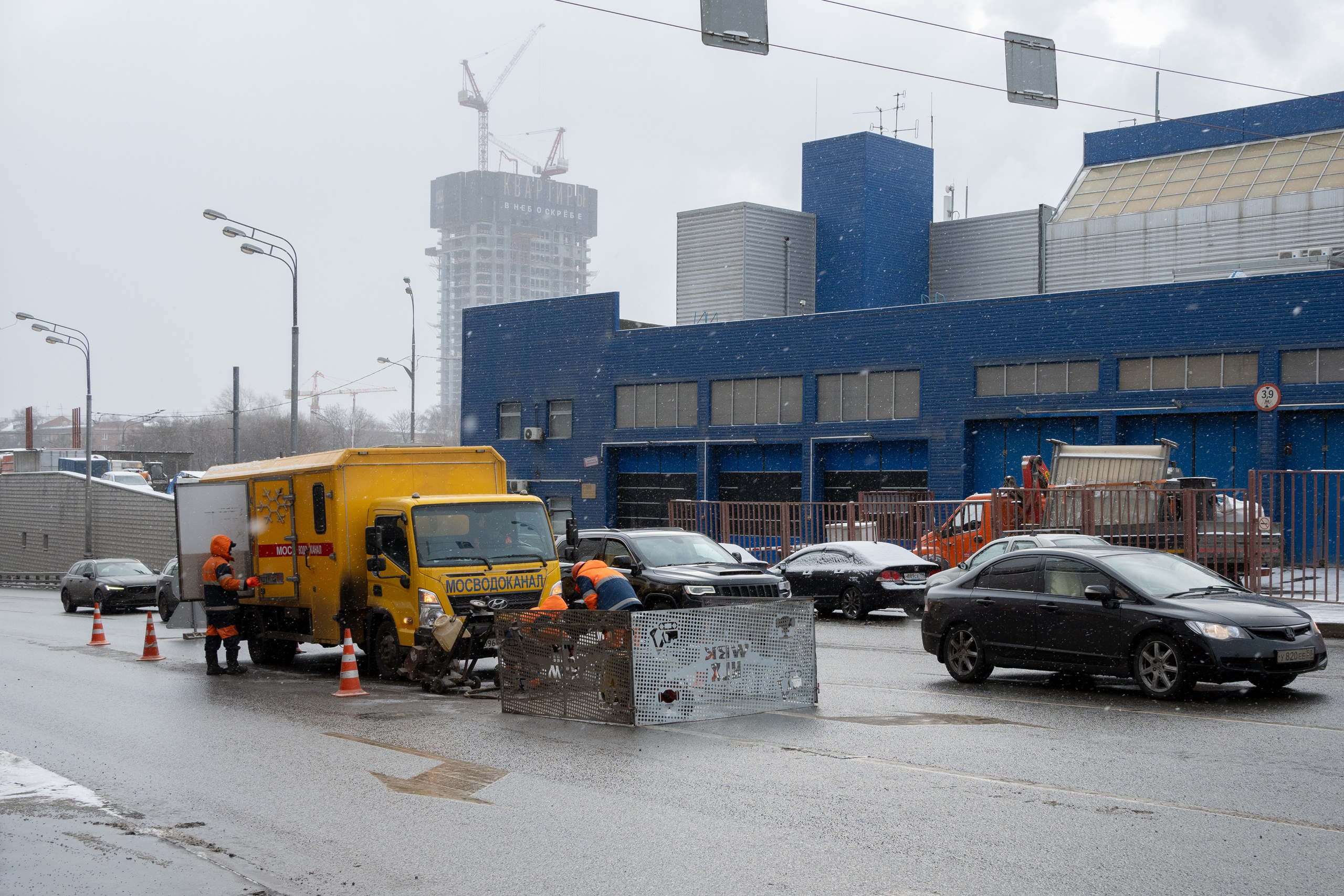 20250216 Нескучный сад. Дмитрий Ремизов. Фотография, как хобби