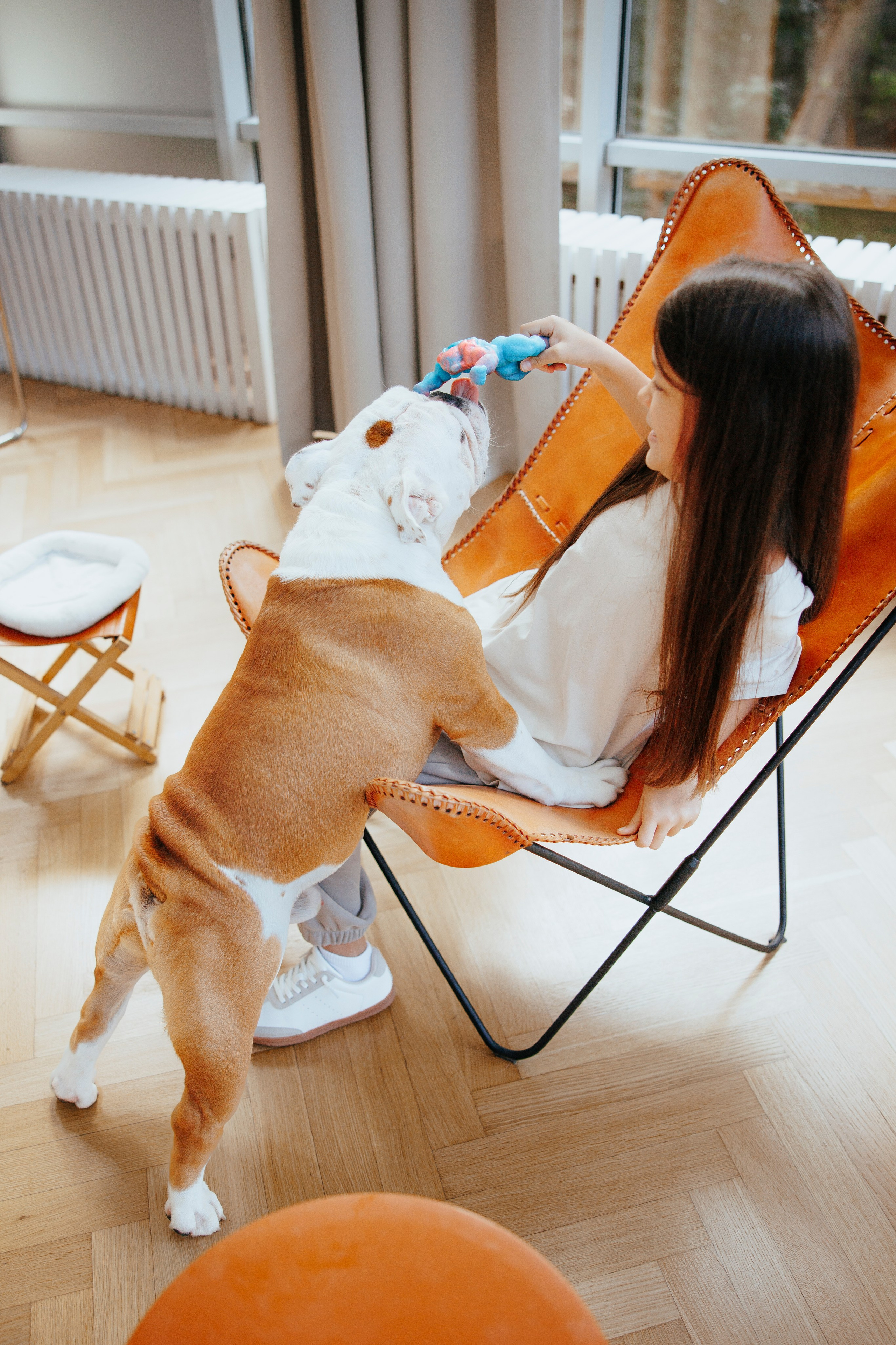 Pawsitive игрушки. Анастасия Белаш