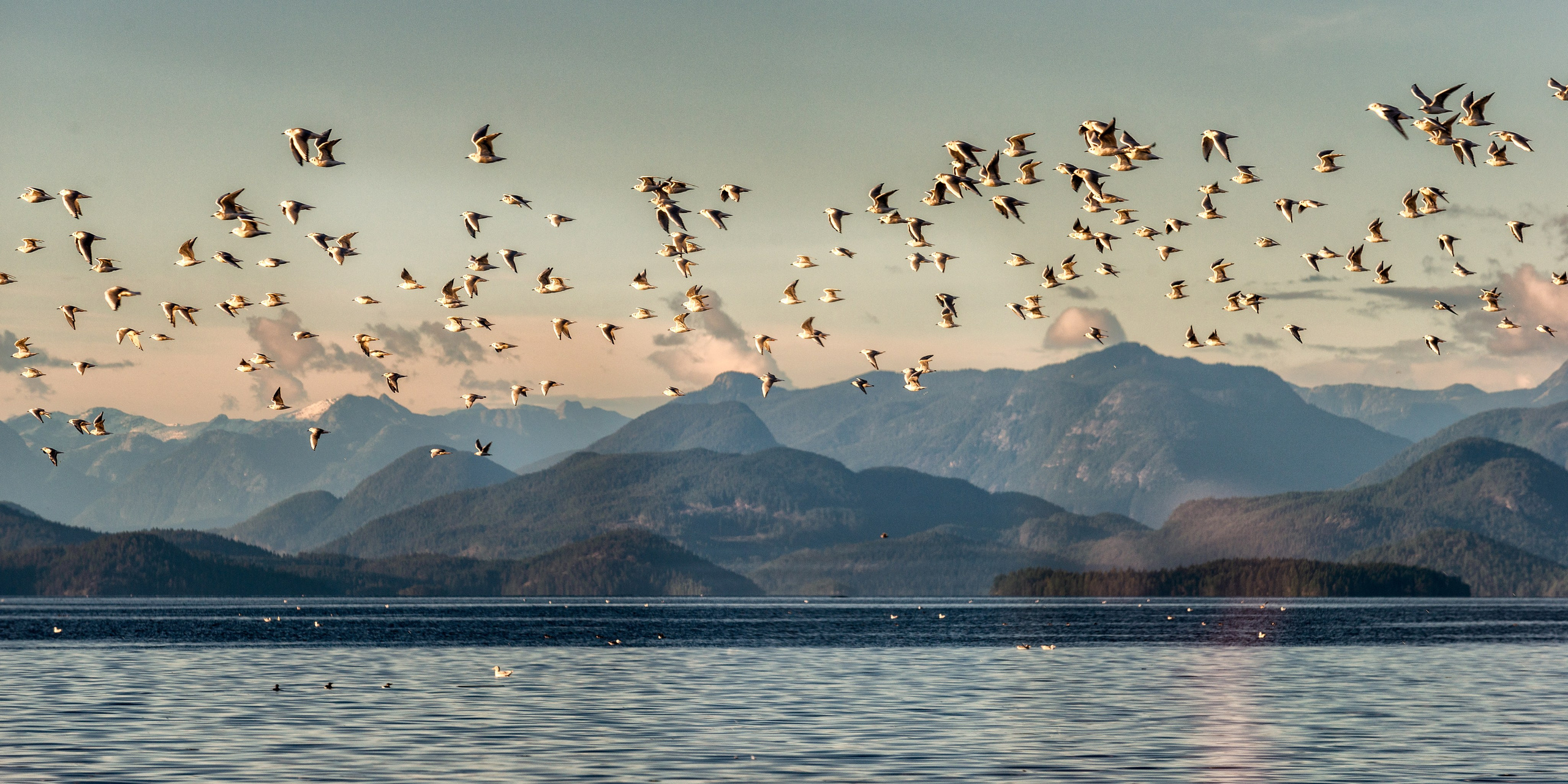 Осень в Канаде. Пейзажный фотограф Сергей Пестерев. Фото природы