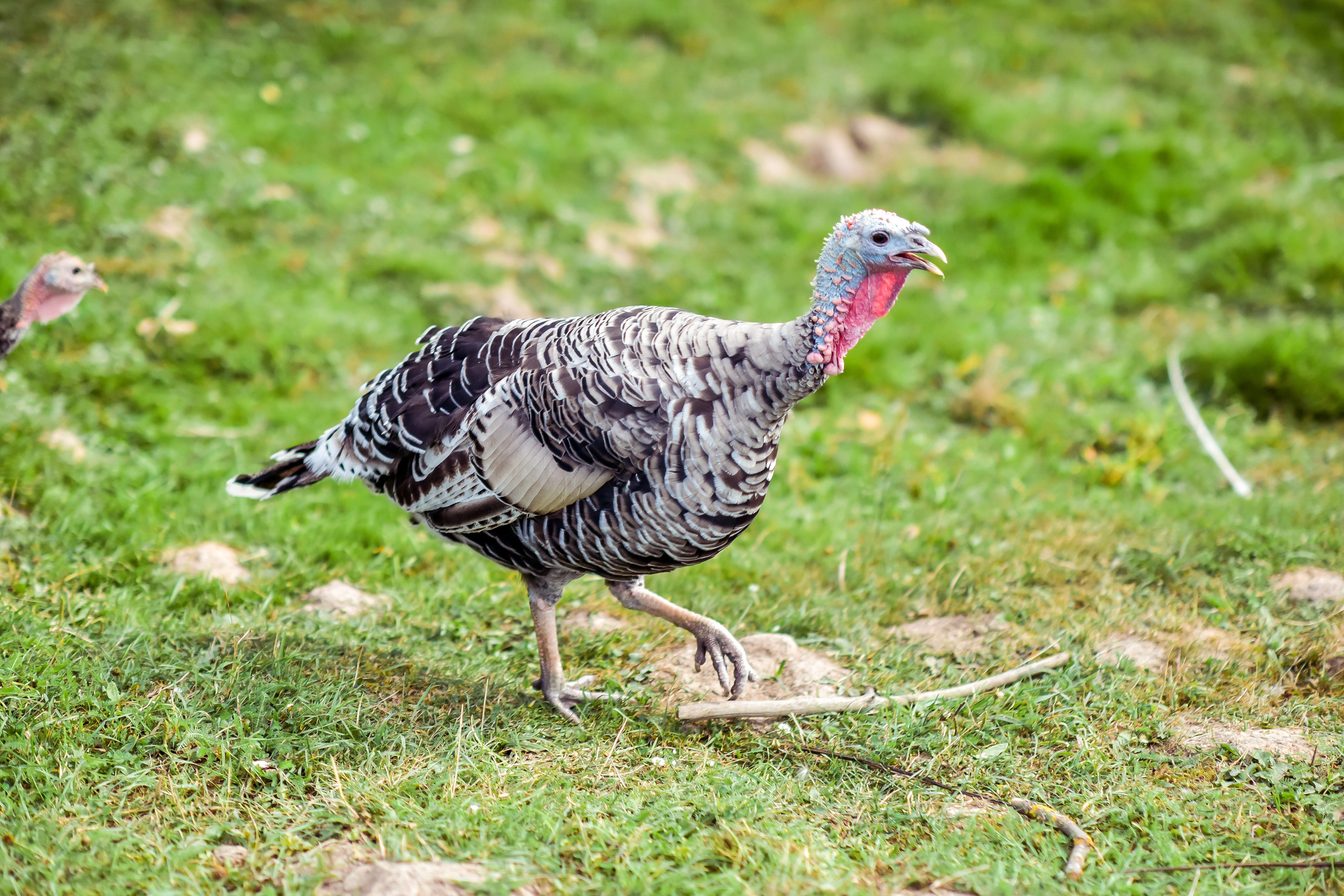 РАНЧО/ АВГУСТ. Фотограф для бизнесконтента, репортажей и семейного альбома в Москве