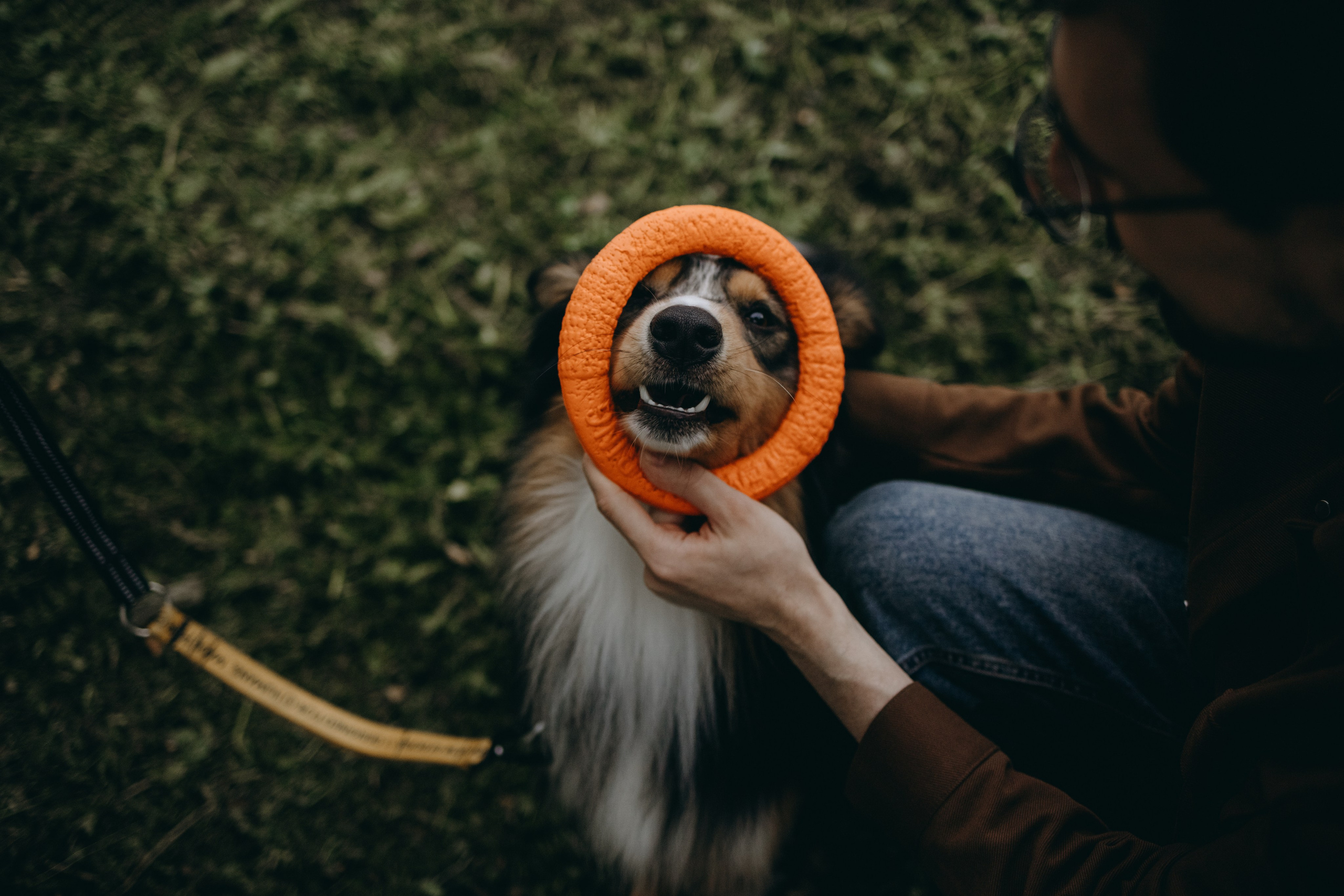 Настя, Никита и их Гром и Мяу. Фотограф — Анималист | Санкт-Петербург