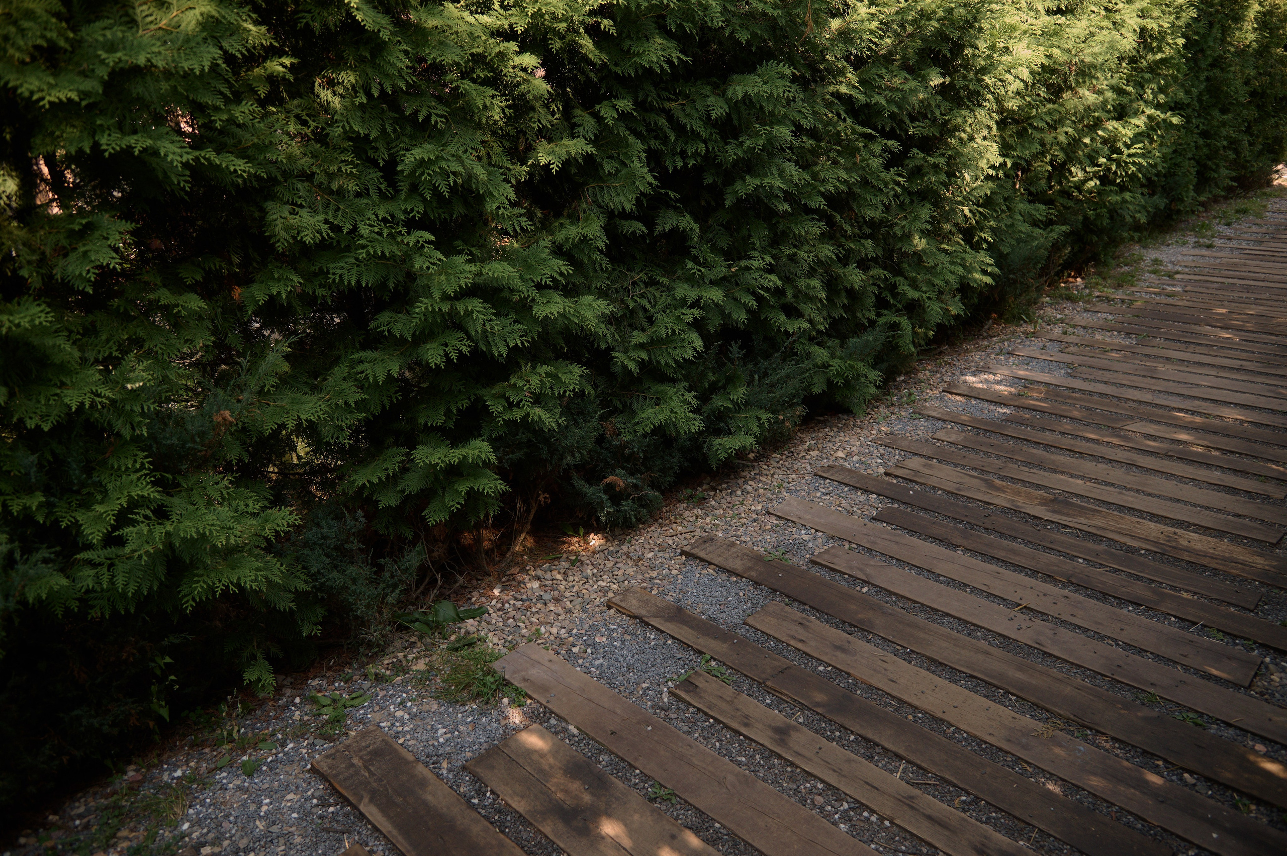 Молоды и свободны. Фотограф Евгения Пронькина