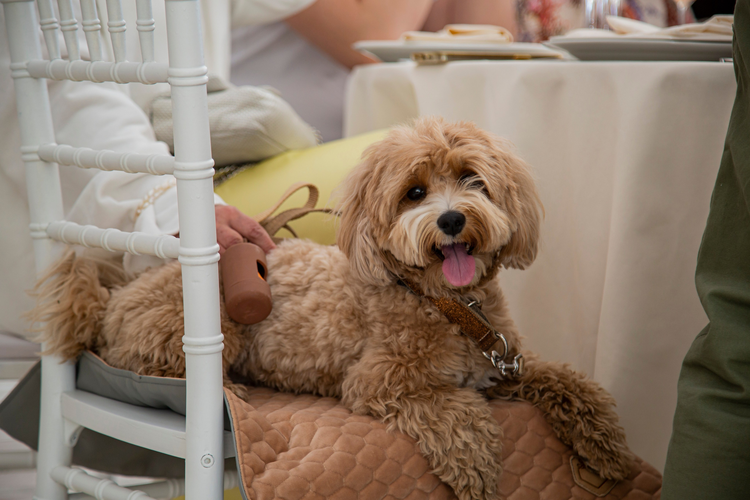 Юбилей. 𝓕𝓸𝓽𝓸𝓰𝓻𝓪𝓯 𝓑𝓪𝓵𝓪𝓼𝓱𝓲𝓱𝓪 / 𝓜𝓸𝓼𝓴𝓿𝓪