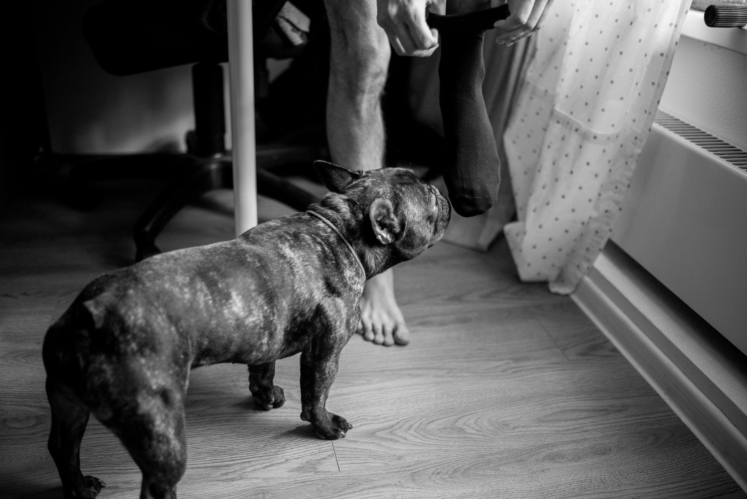 Даша и Никита. Свадебный фотограф в Москве Григорий Аргунов