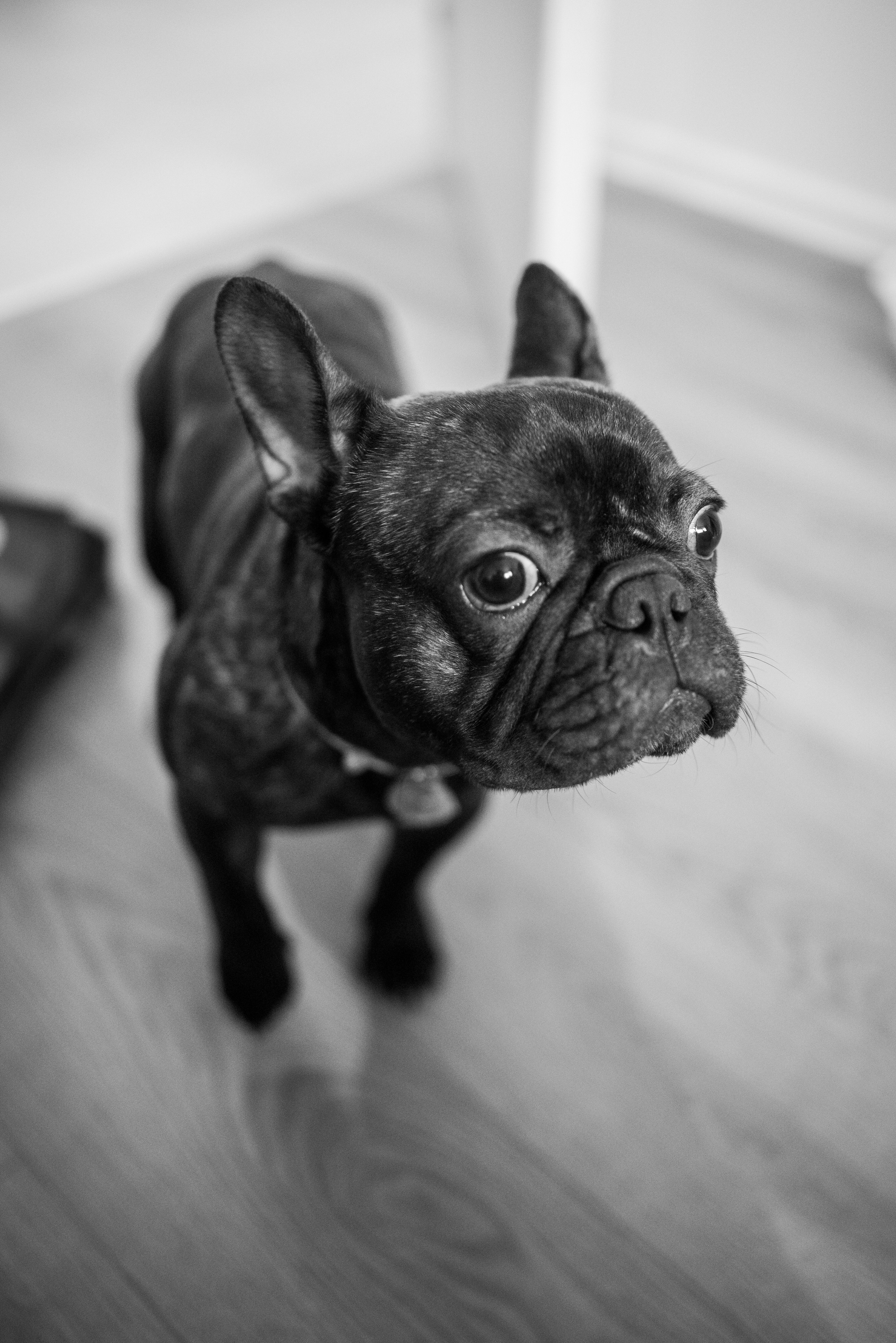 Даша и Никита. Свадебный фотограф в Москве Григорий Аргунов