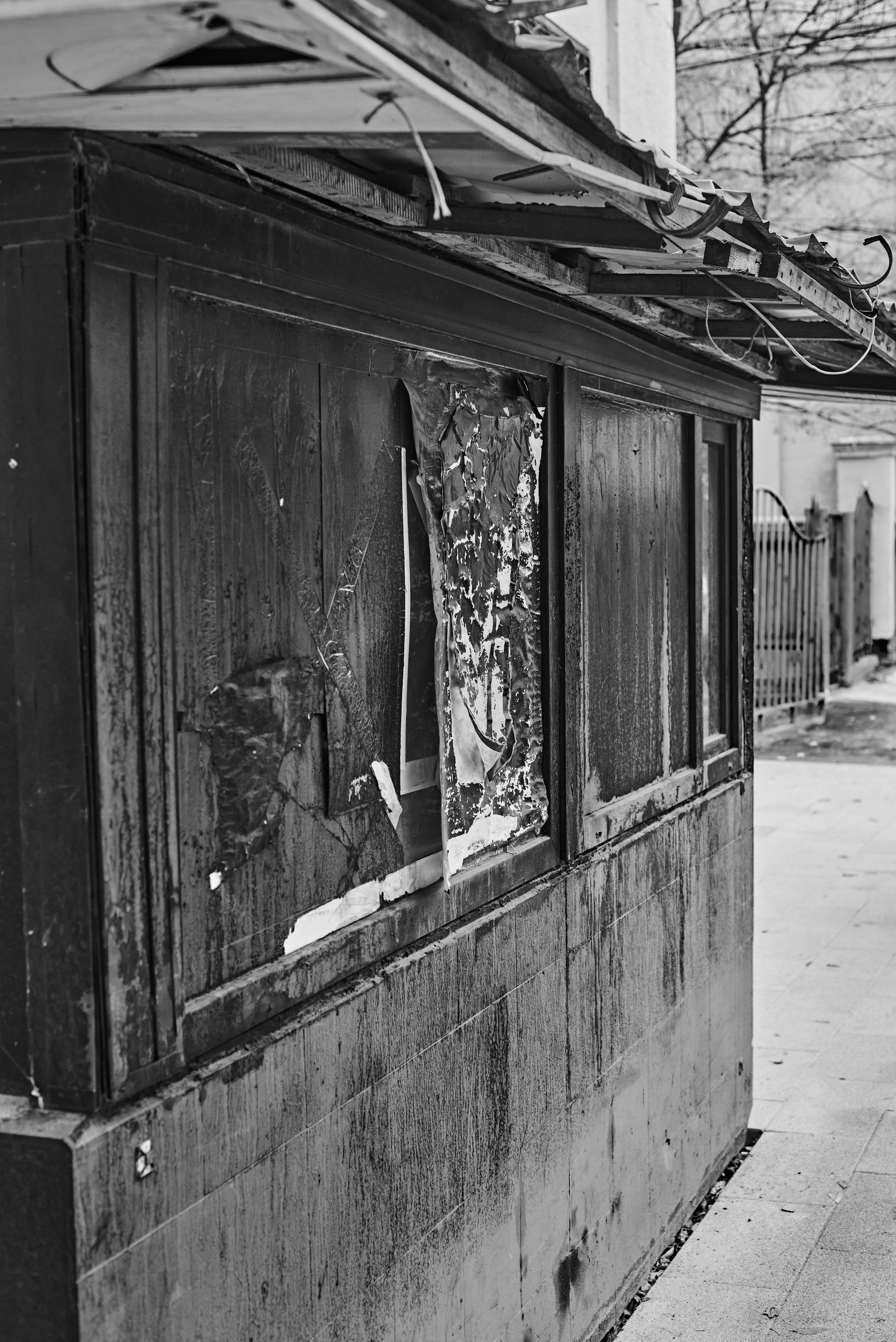 2024. Марфин. Фотограф